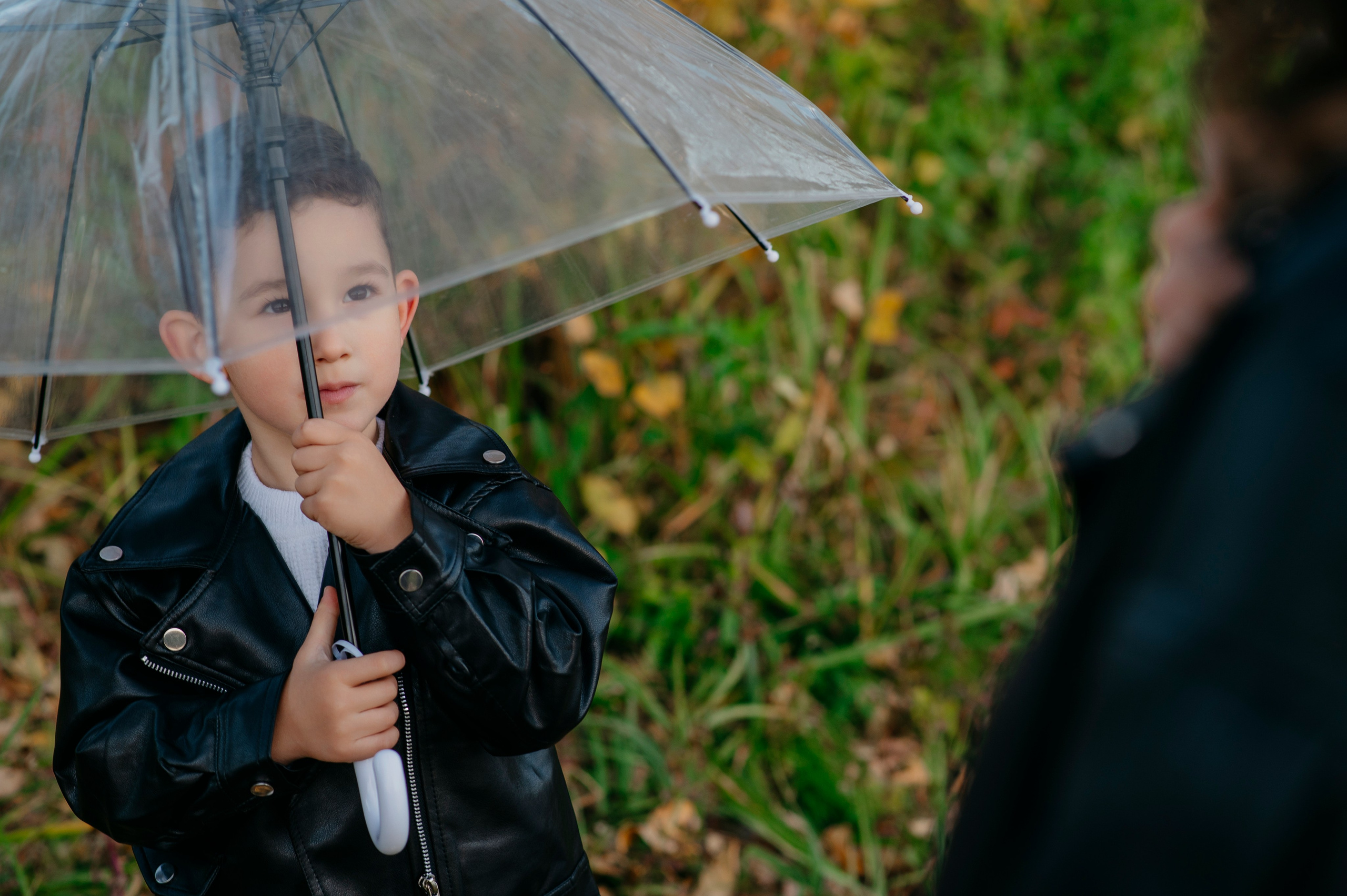 Осенние зарисовки. Фотограф Дарья Семина