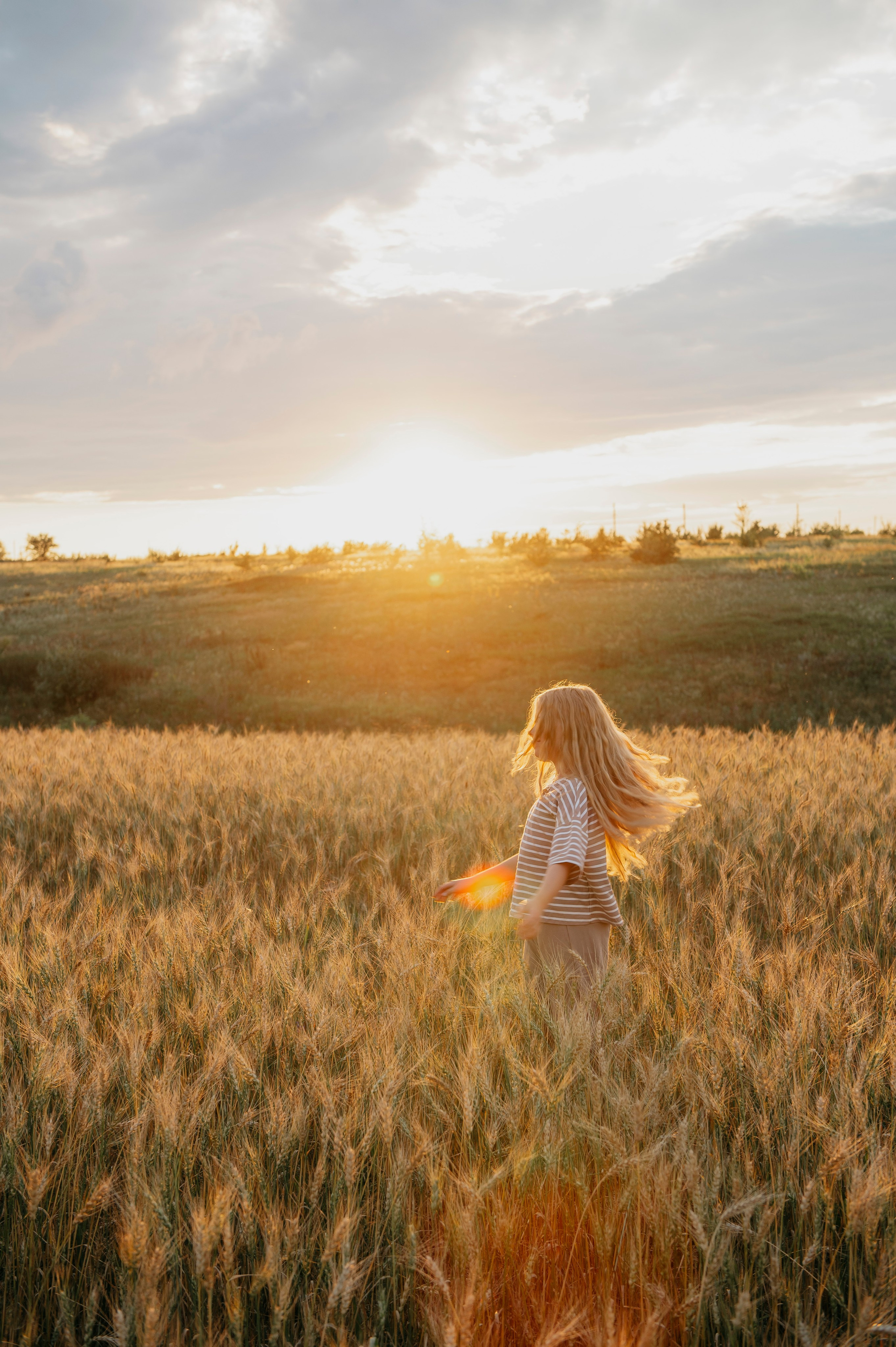 Пшеничный закат. Фотограф Дарья Семина