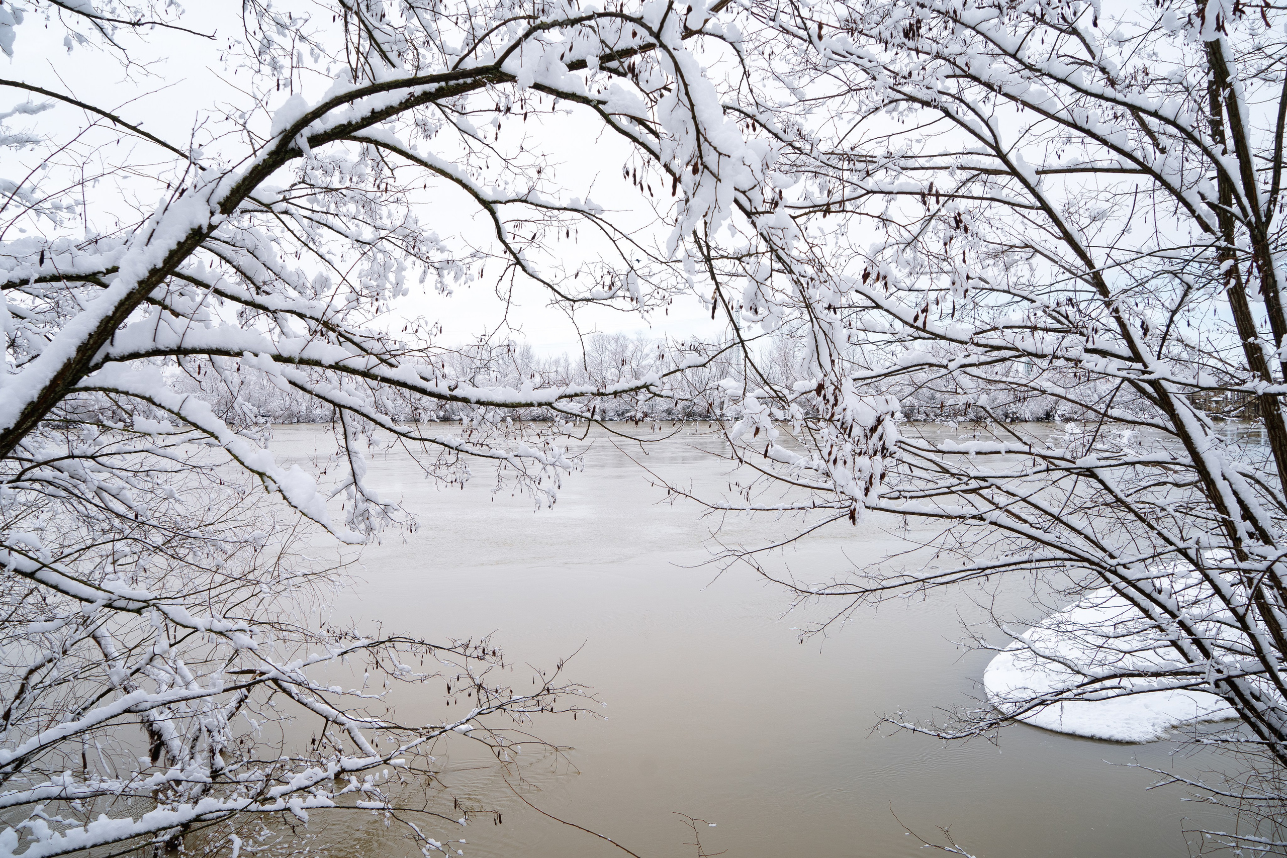 Зима 2024. Свадебный и семейный фотограф/видеограф в Краснодаре Наталья Осинская