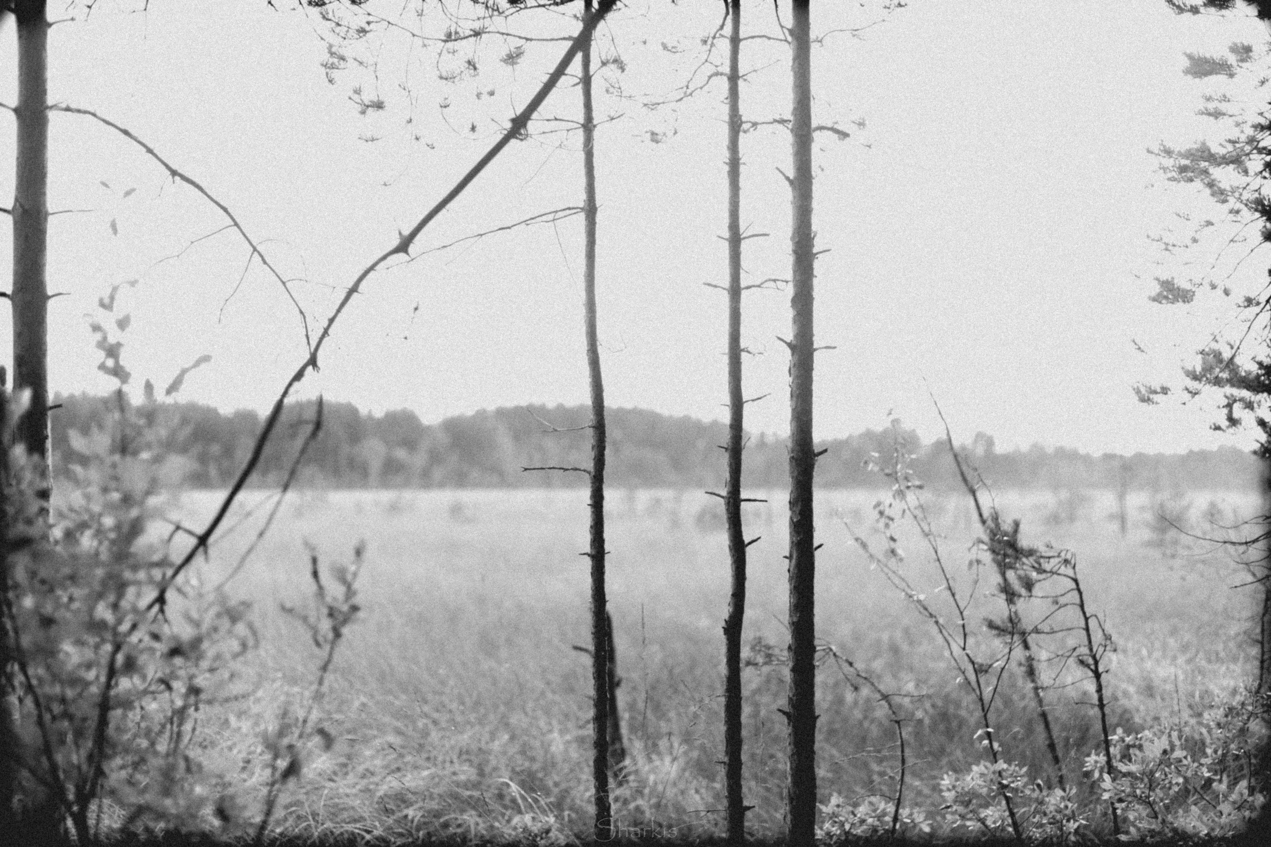 Настя. Главная