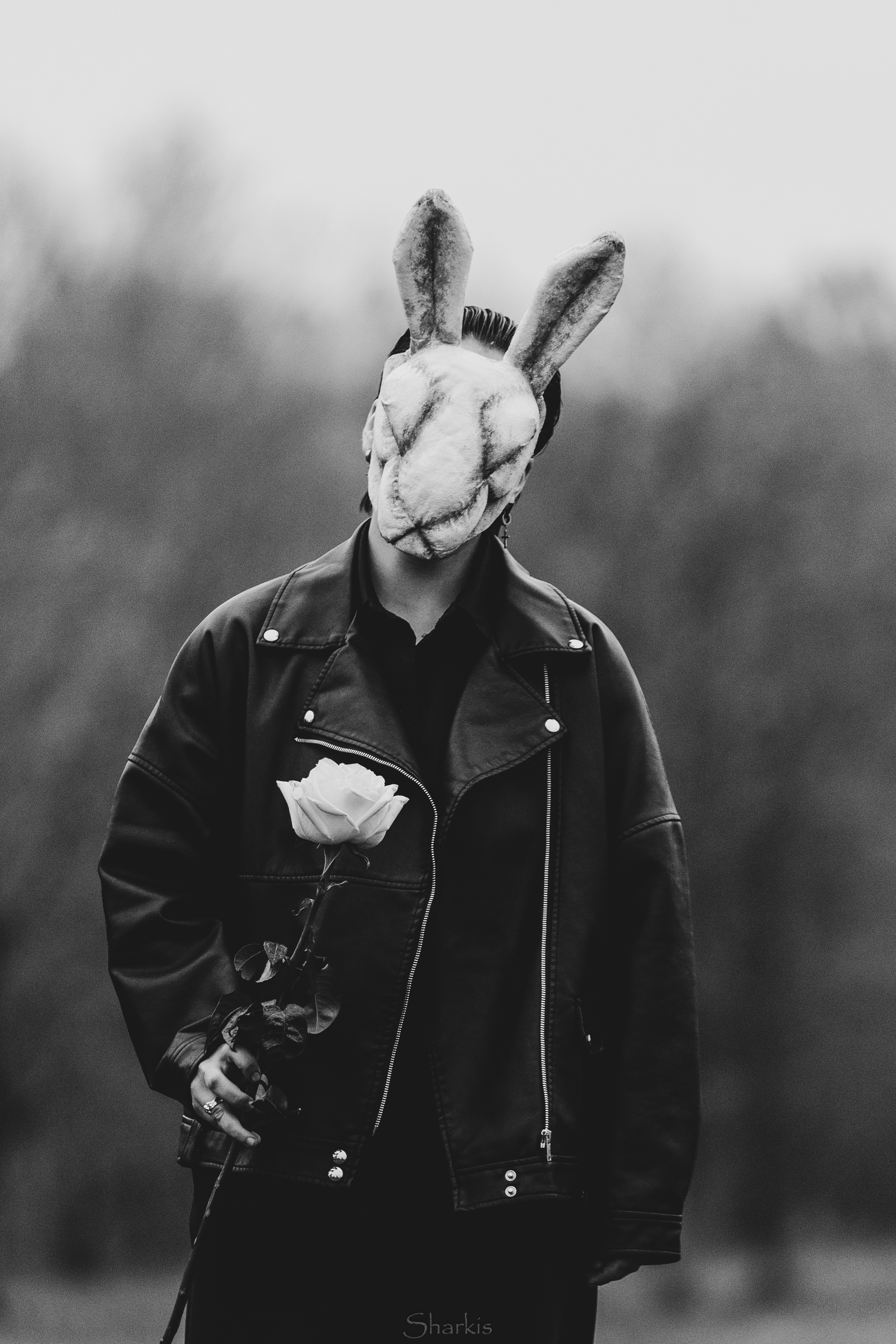 Алина. Главная