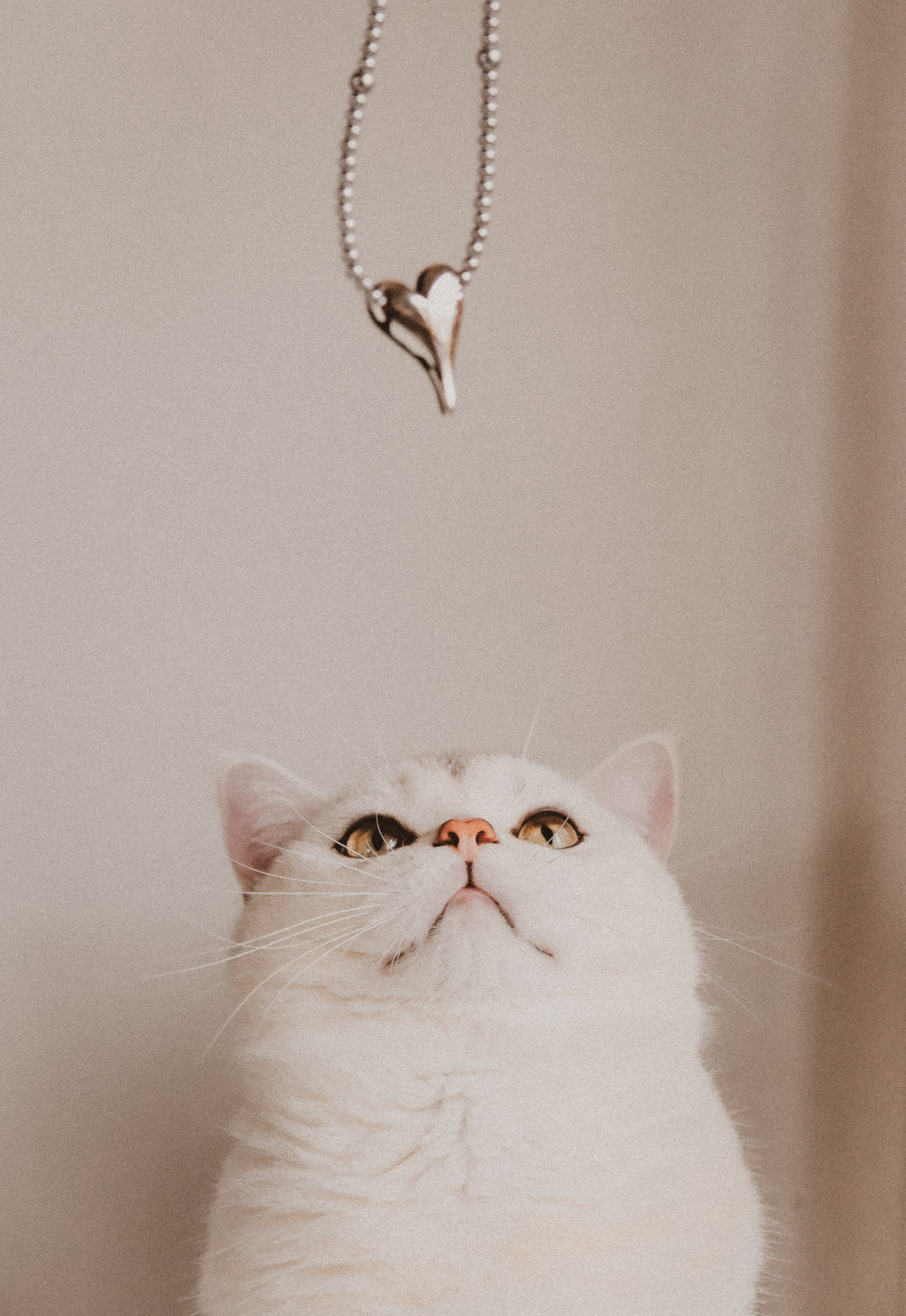 Горячие сердца и ноты Грузии. Свадебный и семейный фотограф Москва Варламова Виктория