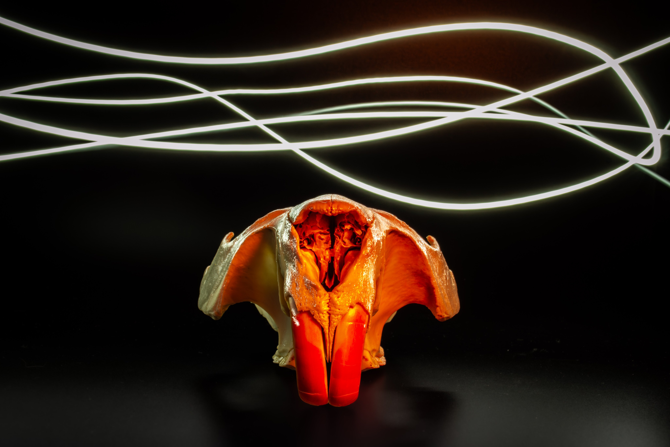 ПРЕДМЕТНАЯ СЪЁМКА. Фотограф в Москве — Олег Штыканов