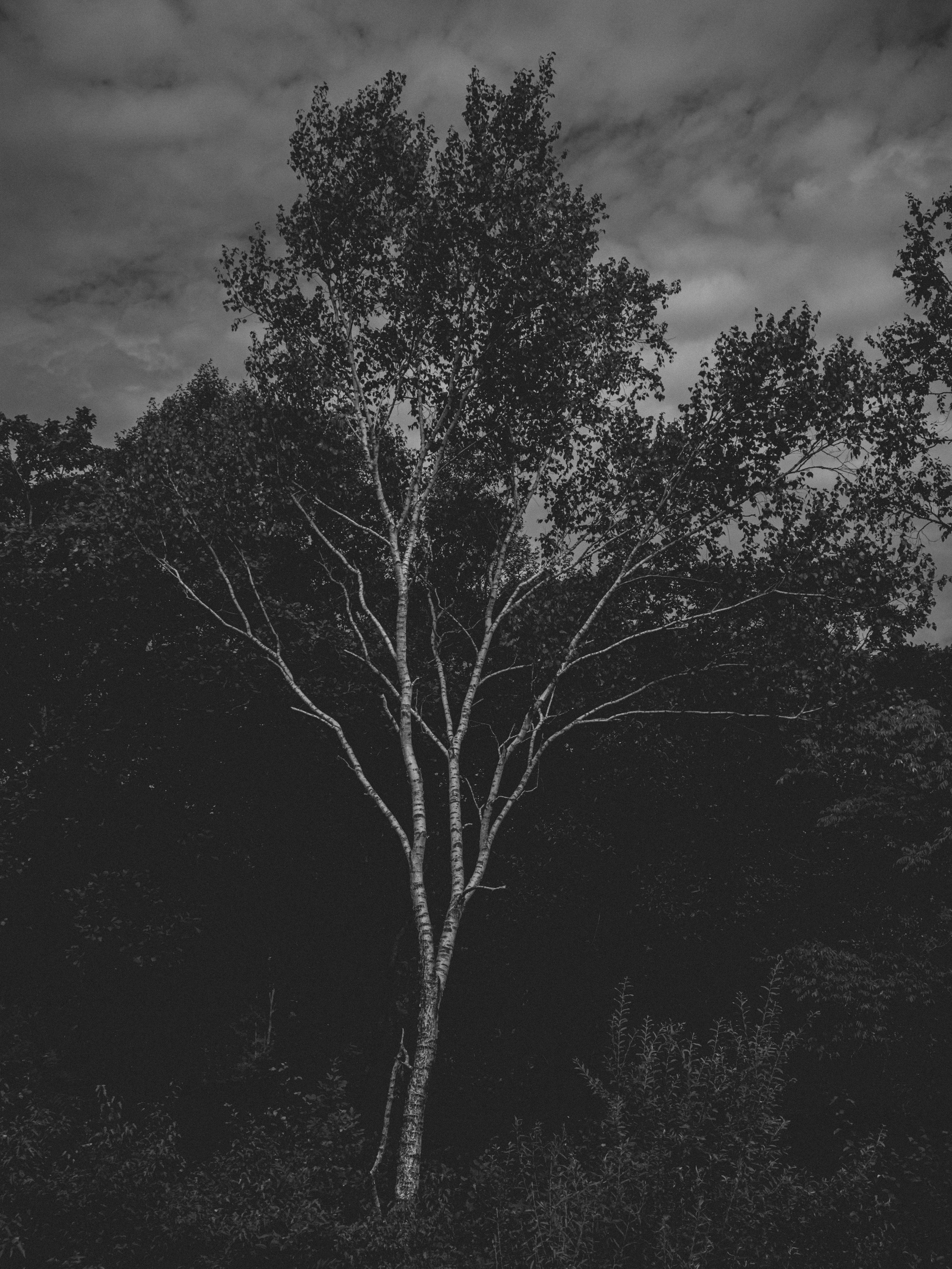 B&W. Максим и Наталья Фёдоровы — Портретные и свадебные фотографы в Хабаров