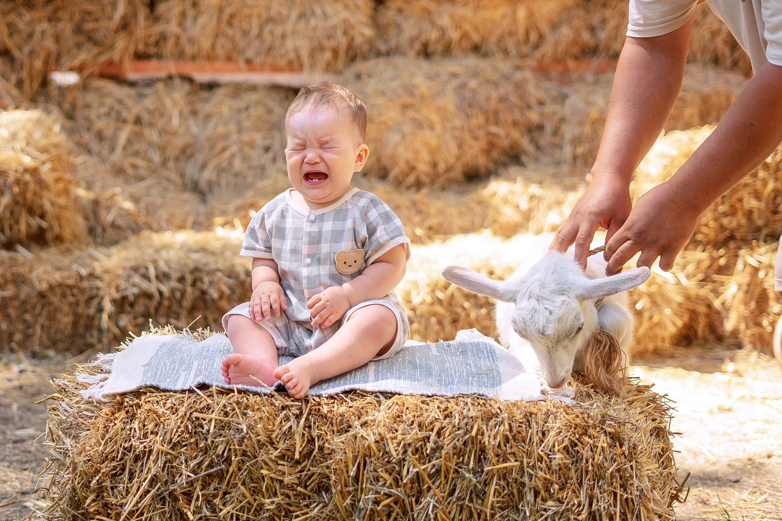 Годик Платону. Фотограф в Казани Алсу Багабиева