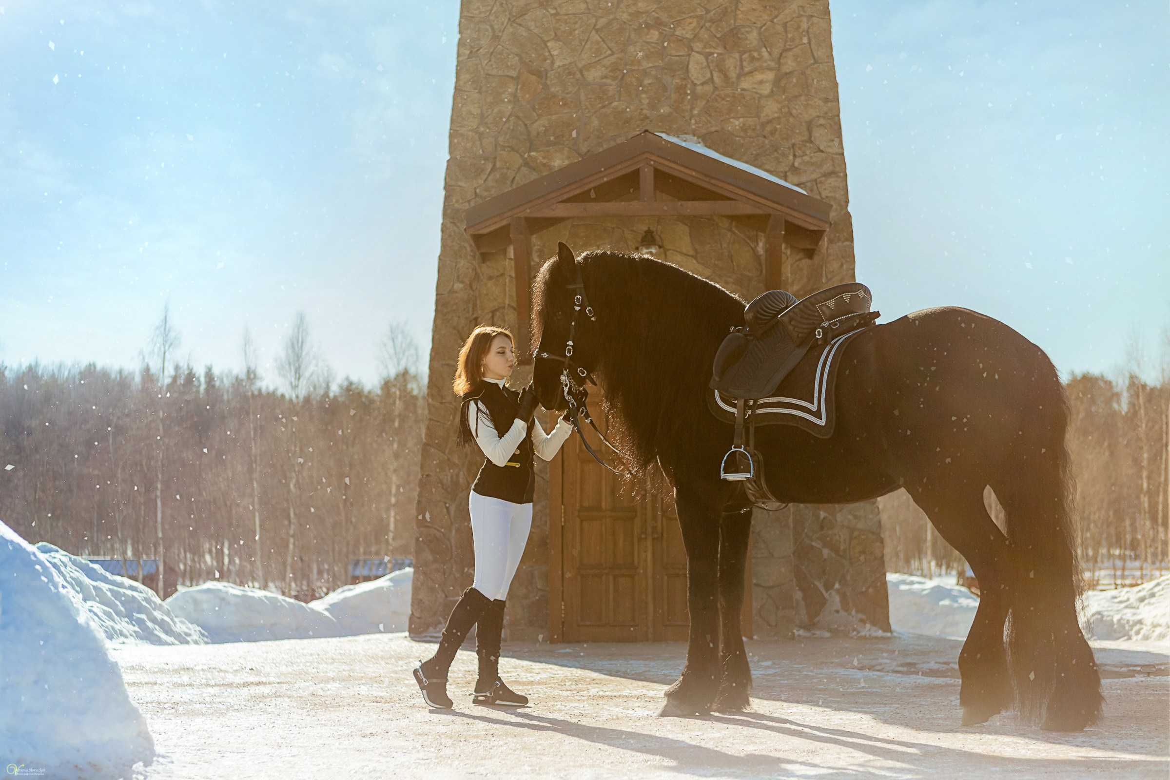 Фотосессии с лошадьми зимой. Фотограф женский и мужской портрет Санкт-Петербург