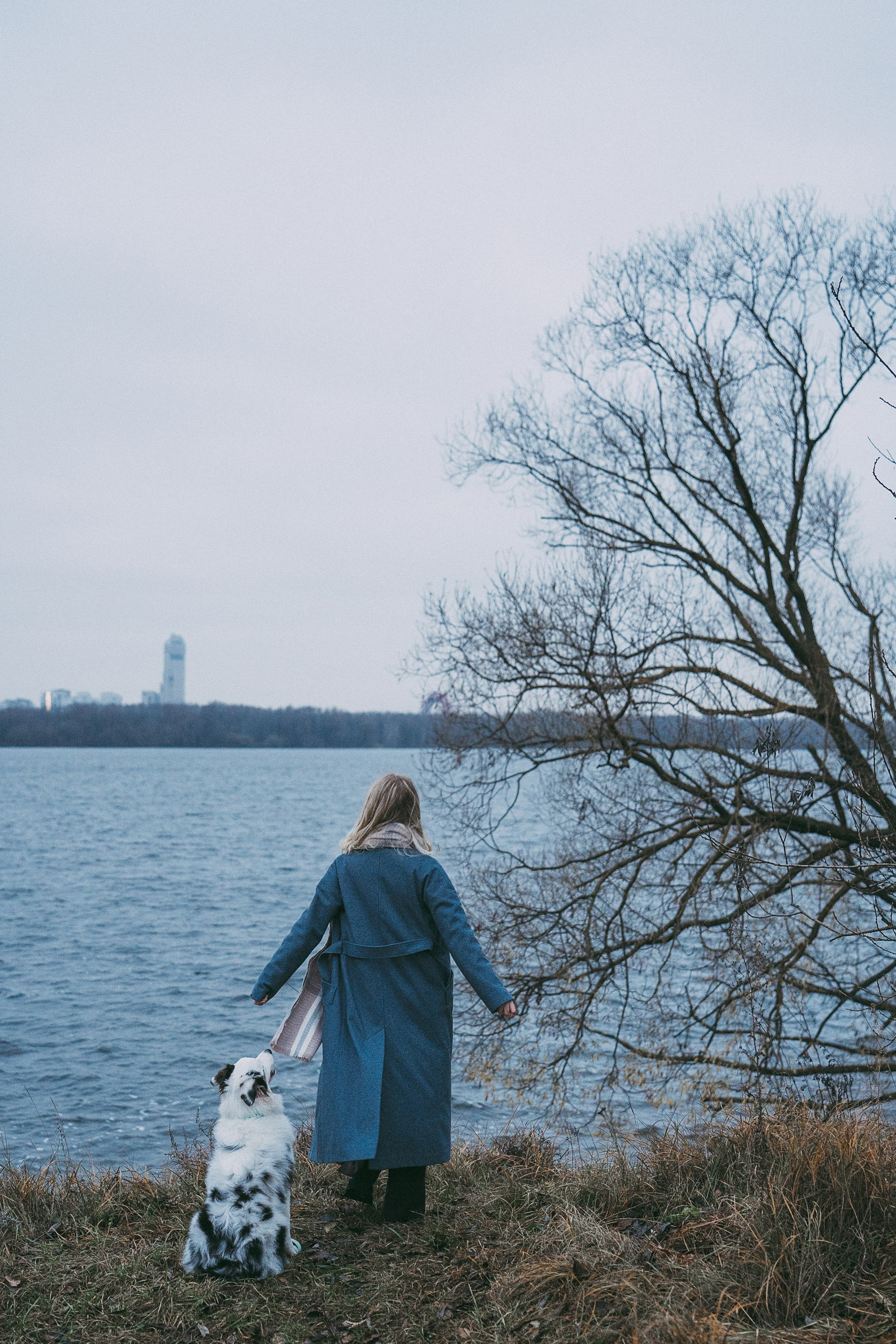 Лиза и Бублик. Фотограф анималист в Москве и Санкт-Петербурге Свиридова Анна