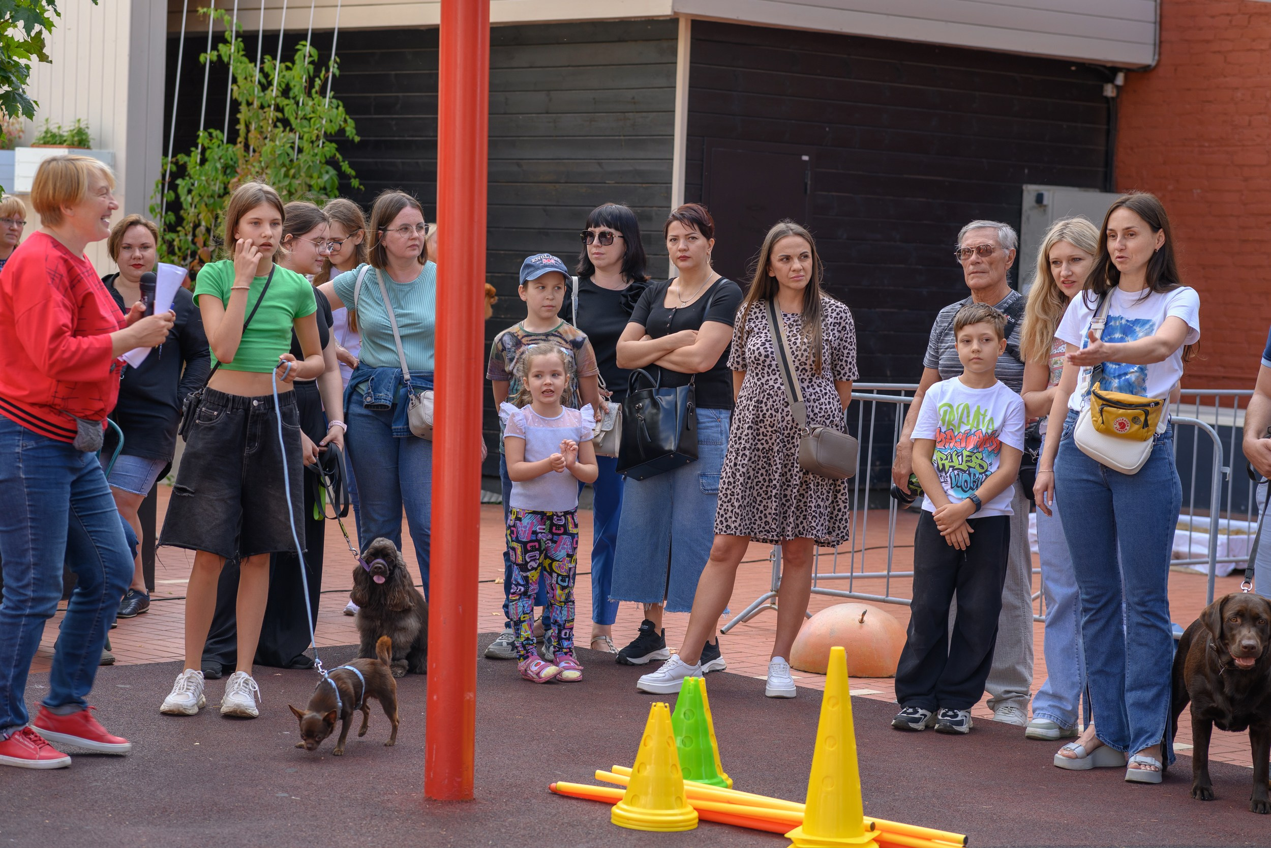 СобачийФест_РынокНаГоре_10082024. Фотограф Александр Данилов