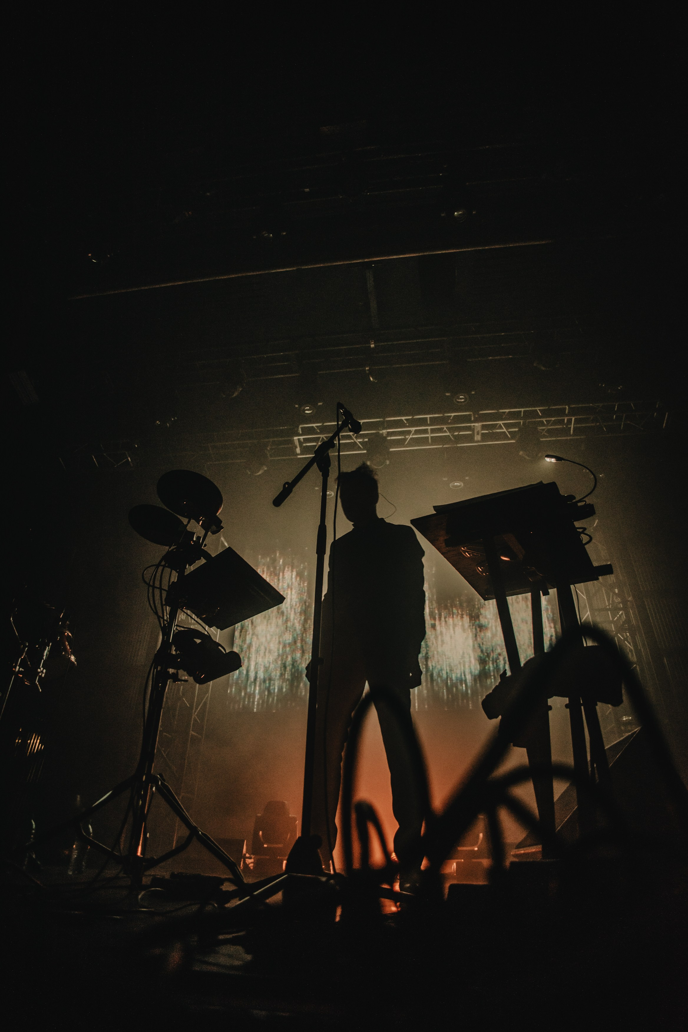 Дельфин | Gaudi. Контент фотограф Илья Урс