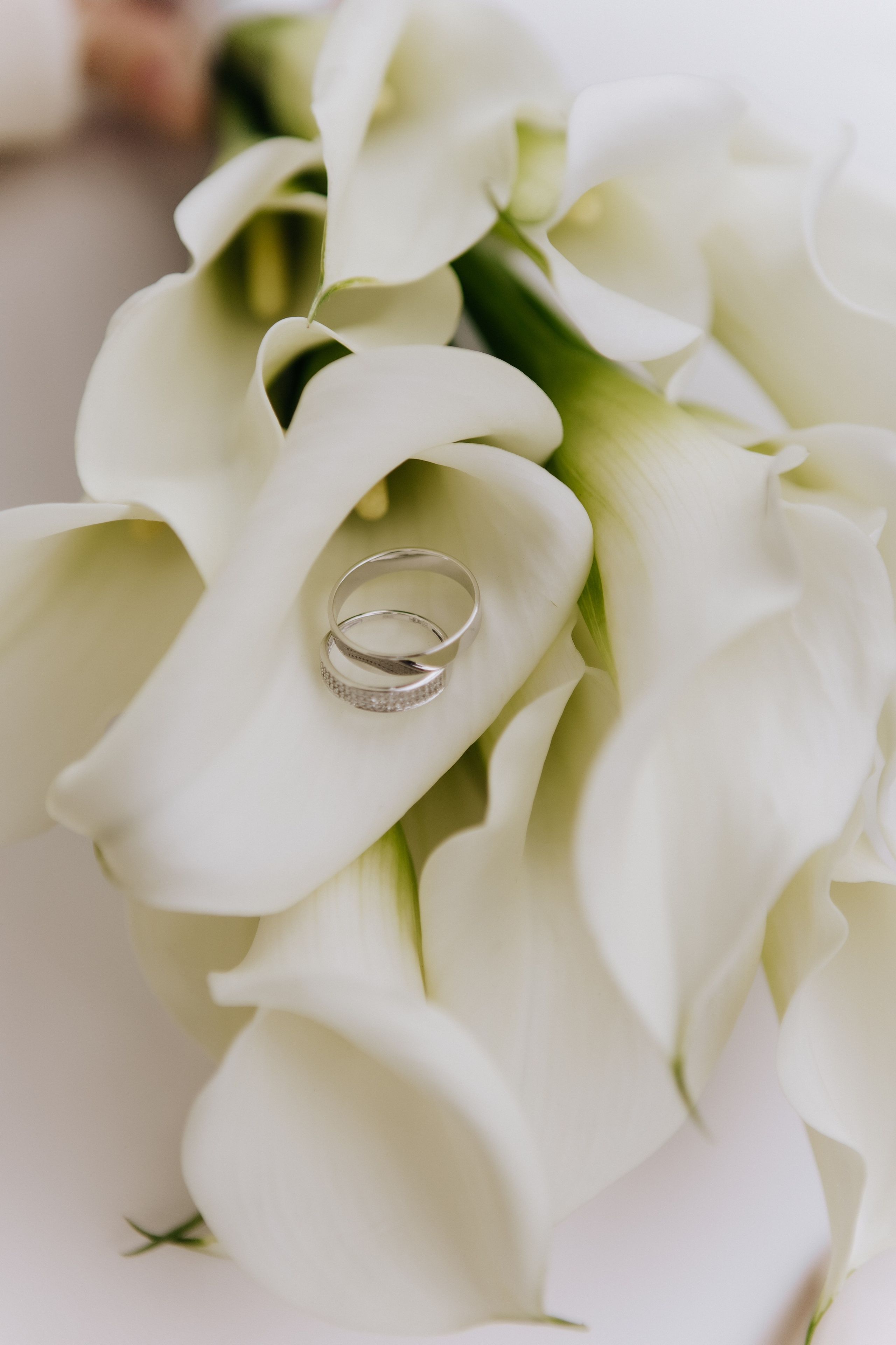 Саша и Артем. Фотограф Екатеринбург| Миасс Долгополова Дарья