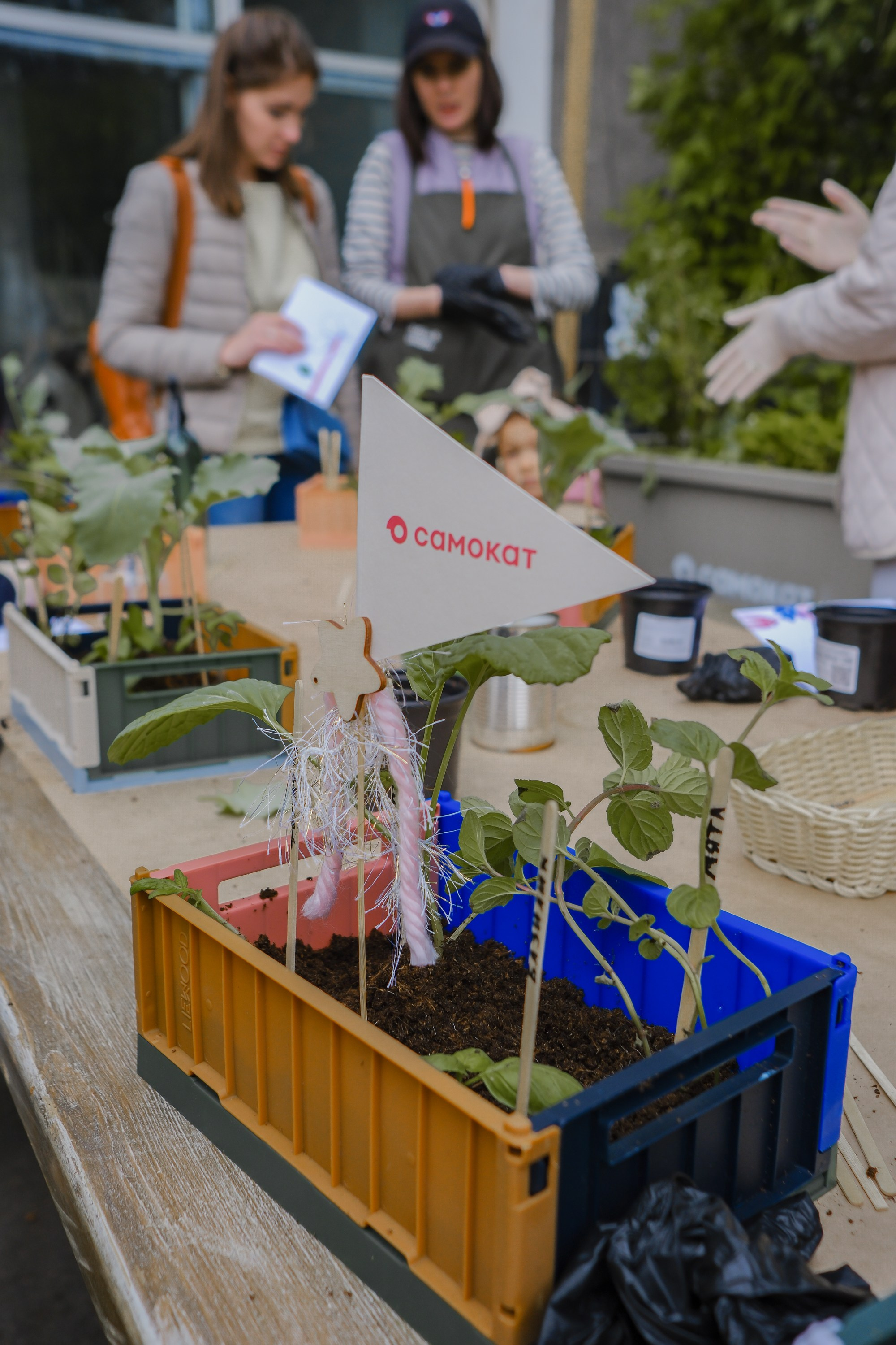 VeterFest 2023. Фотограф в Москве (готова приехать к вам в город)