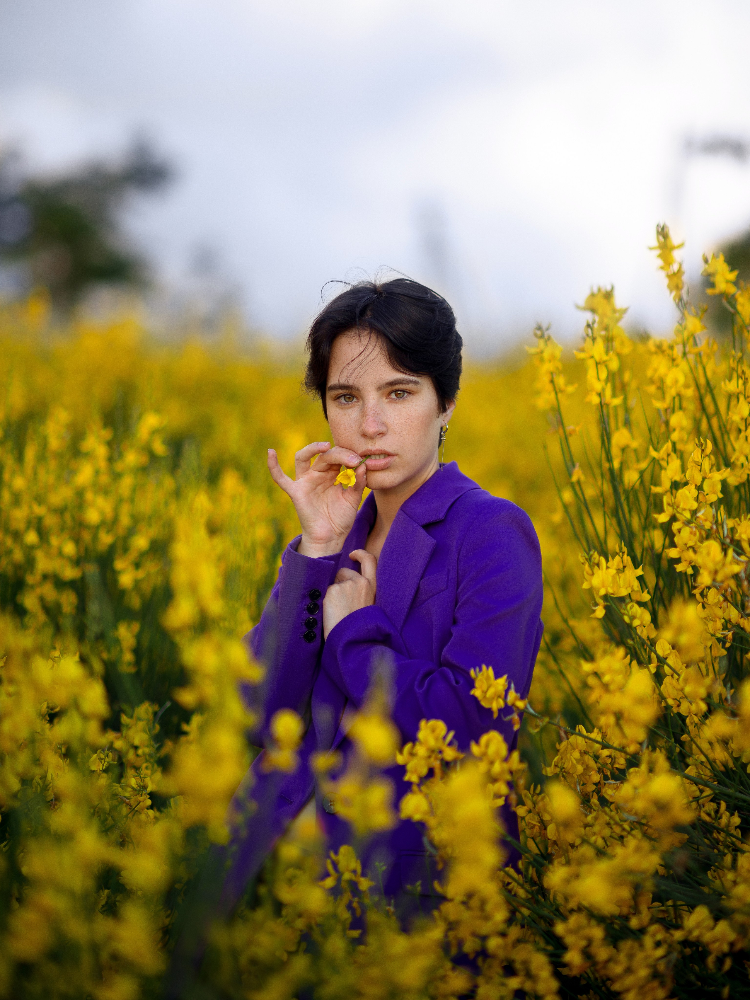 Фотосессия в желтых кустах испанского дрока в Севастополе