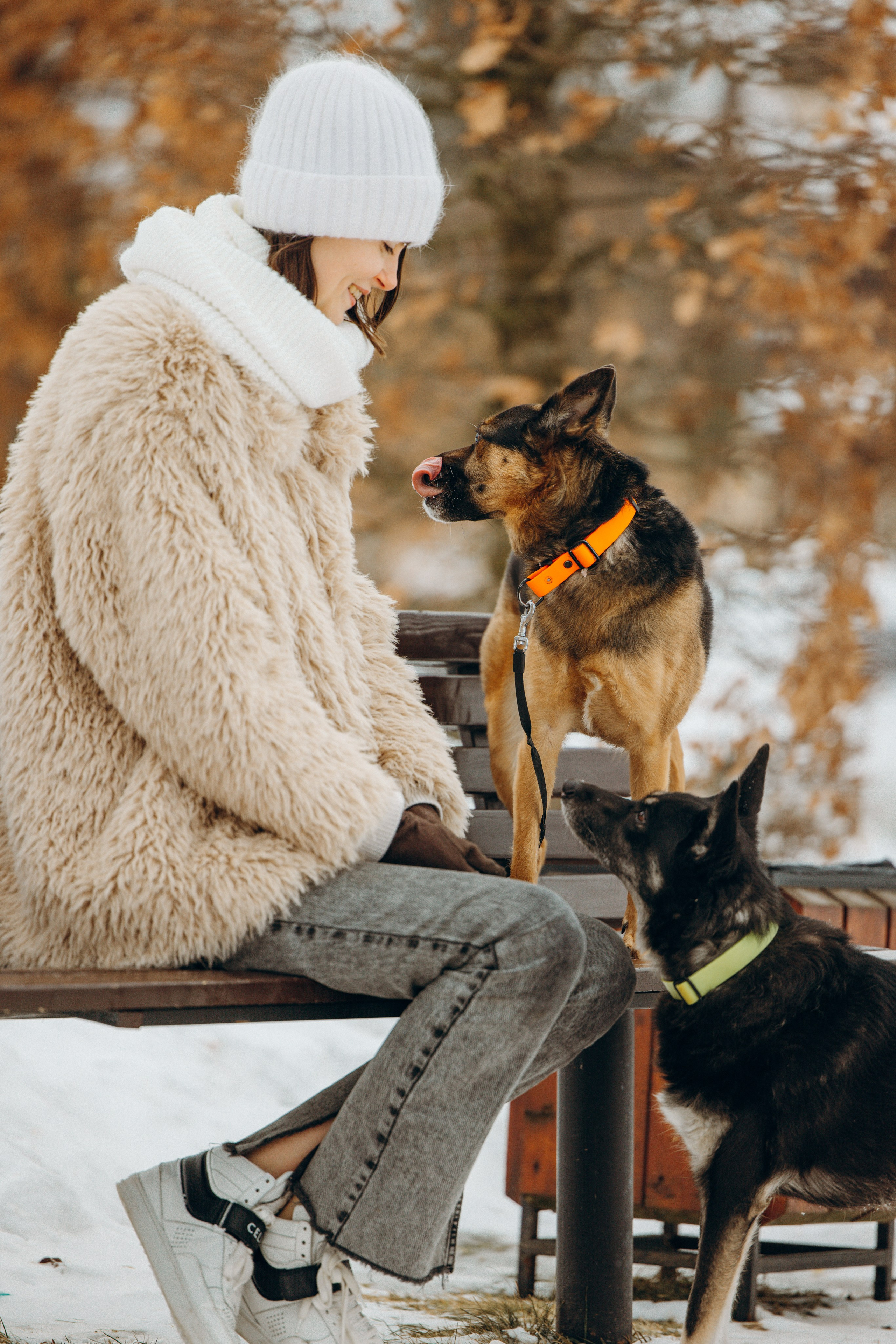 Ника, Матиша и Герда. Фотограф-анималист в Москве Лера Черноног