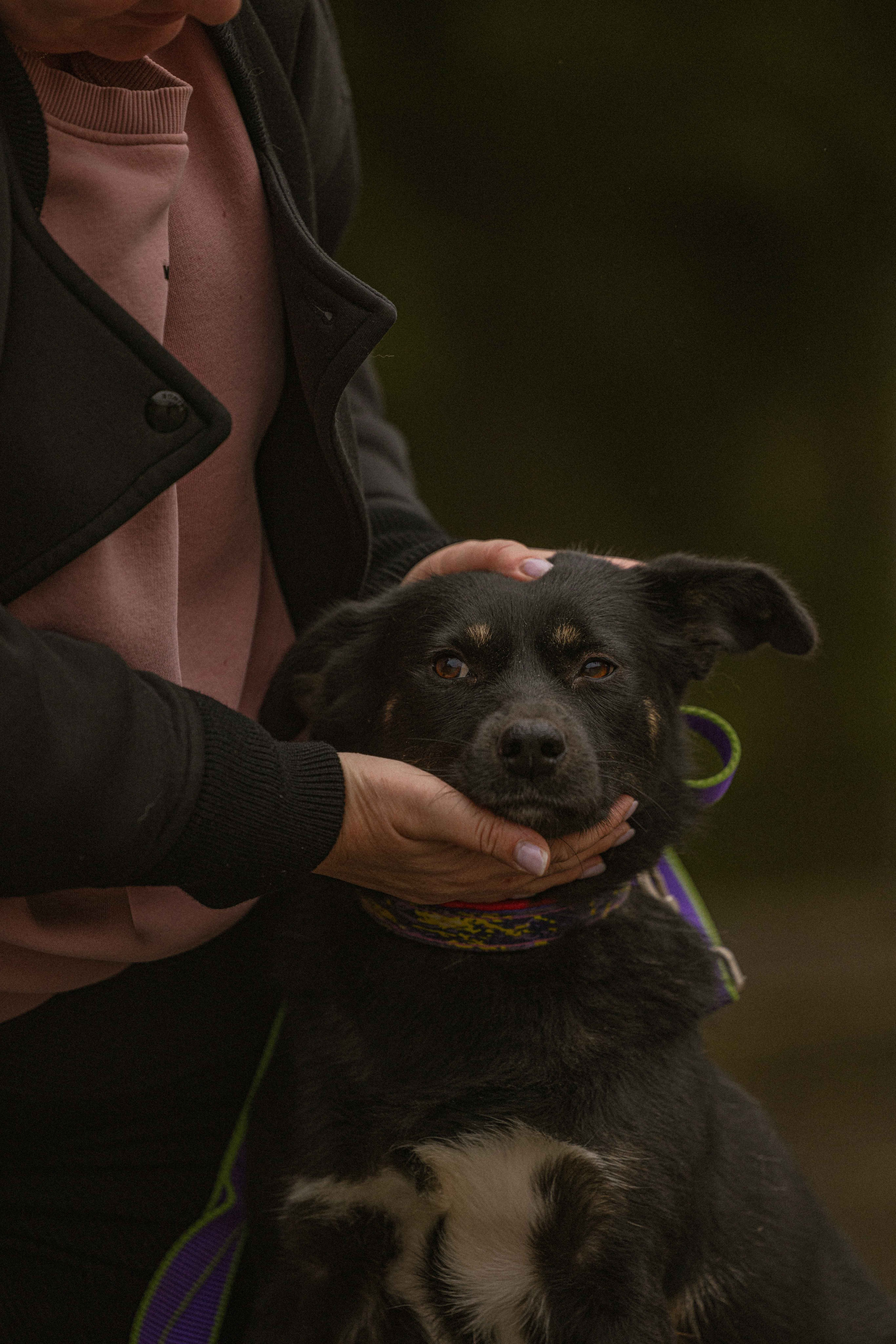 Передержка. Фотограф-анималист в Москве Лера Черноног