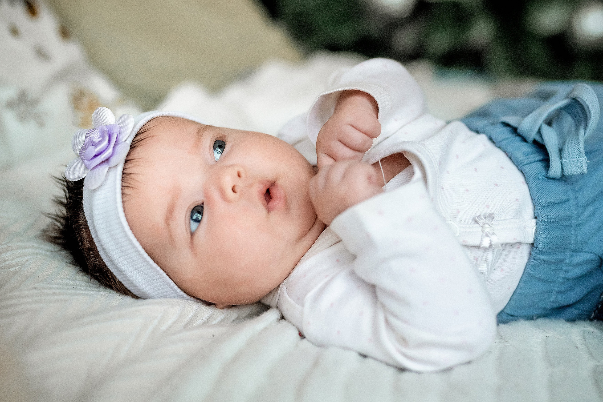 Портфолио фотографа: Новогодние фотосессии — Идеи, примеры и вдохновение для ваших праздничных кадров