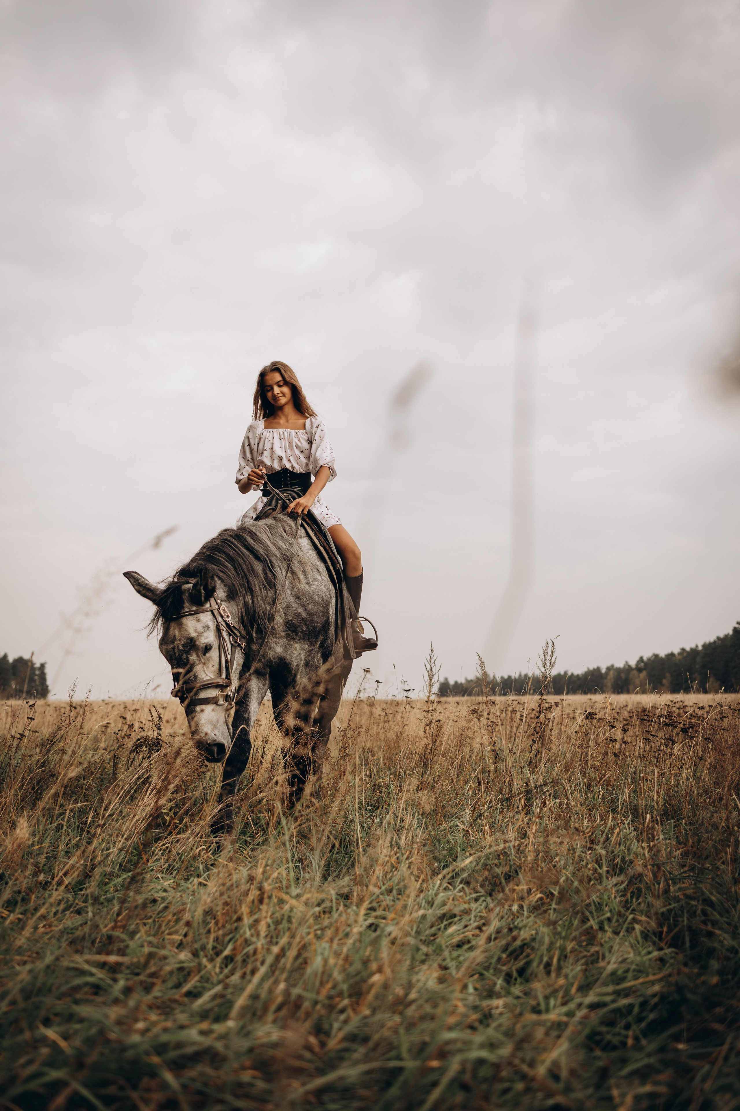 Лошади. Ваш фотограф в Москве и области Юлия