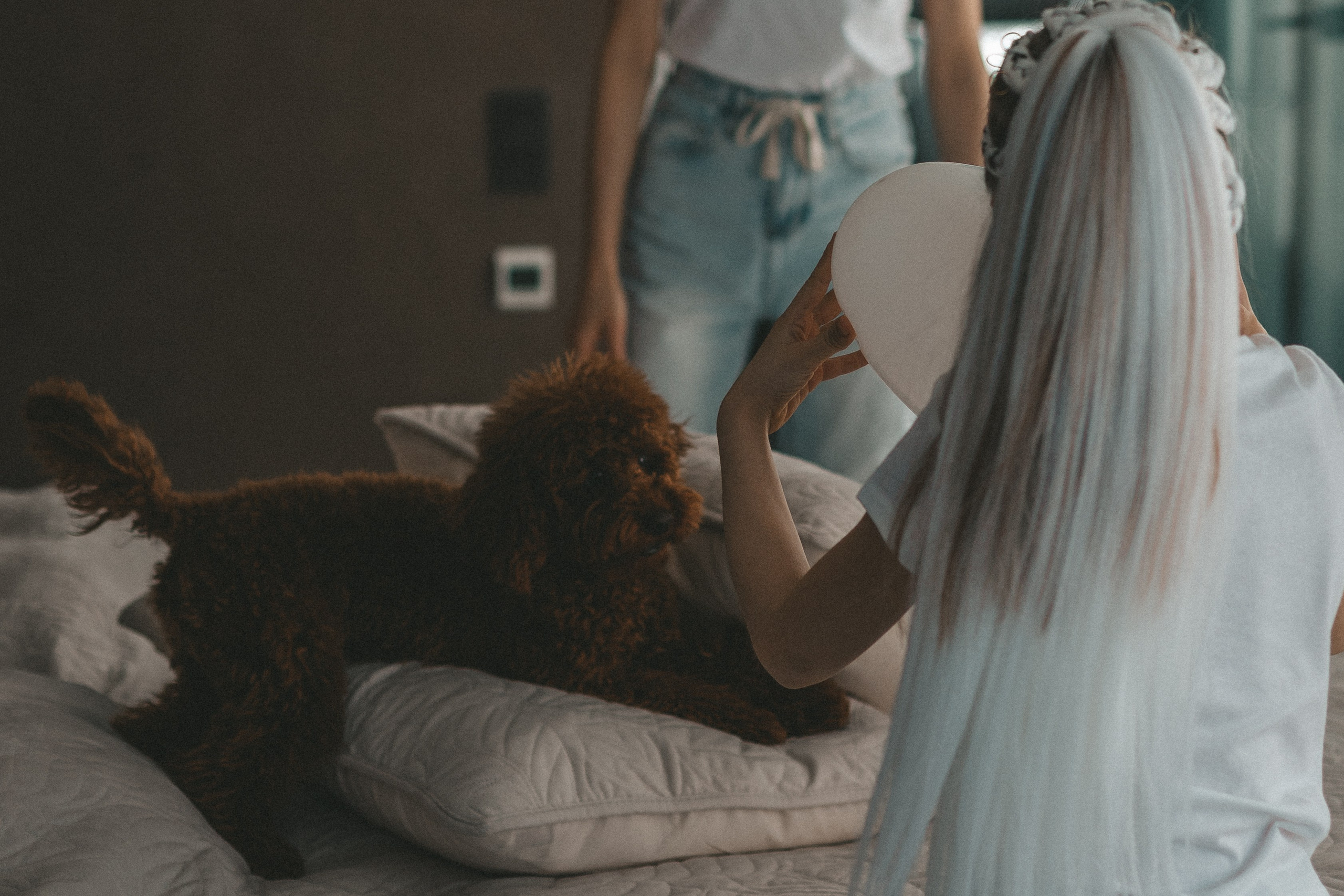 Моя семья. Фотограф Новосибирск