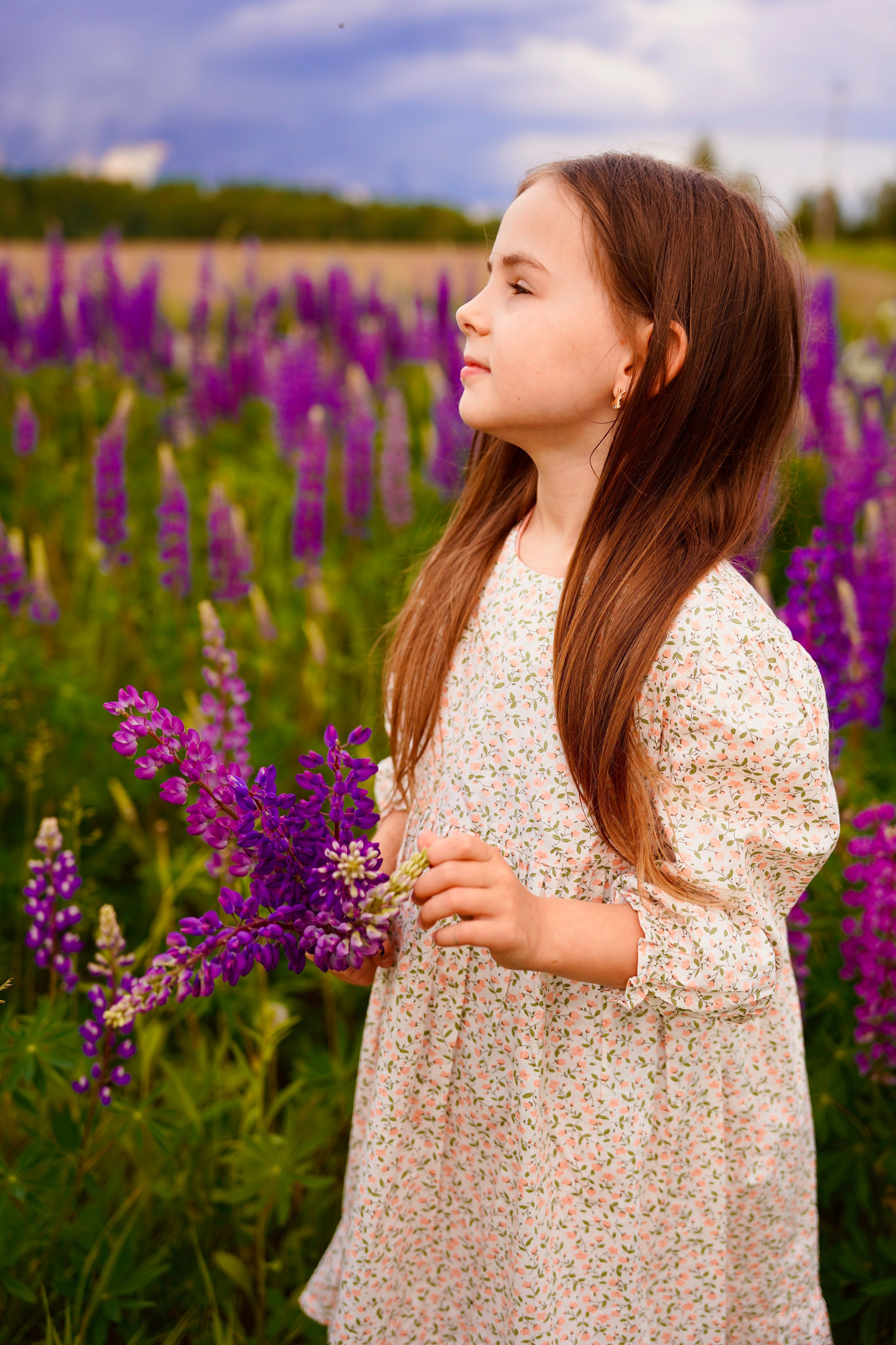 Когда цветут люпины. Семейный и детский фотограф Александра Гвоздикова