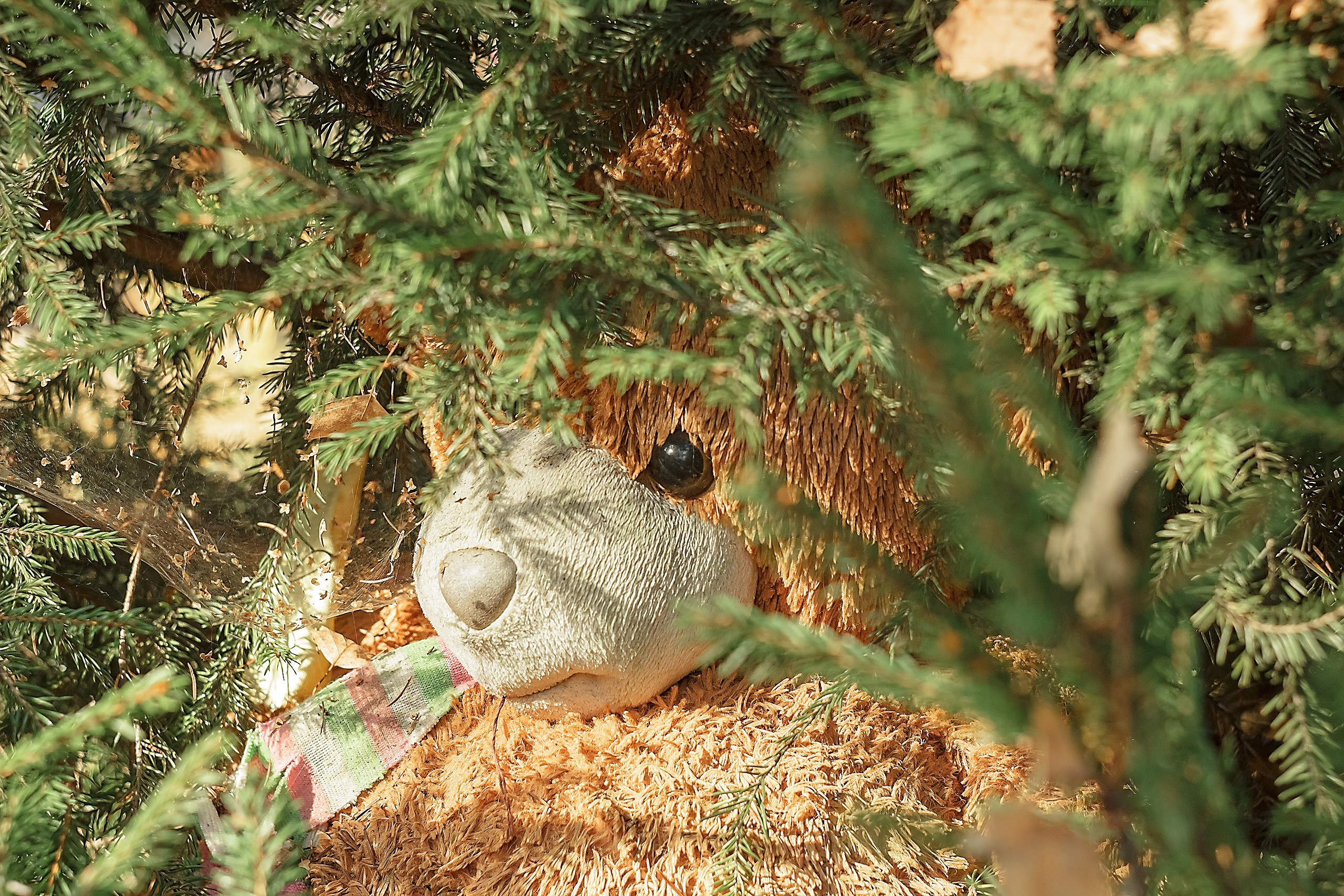 Сказка — Быль. Аmat Victoria Сuram