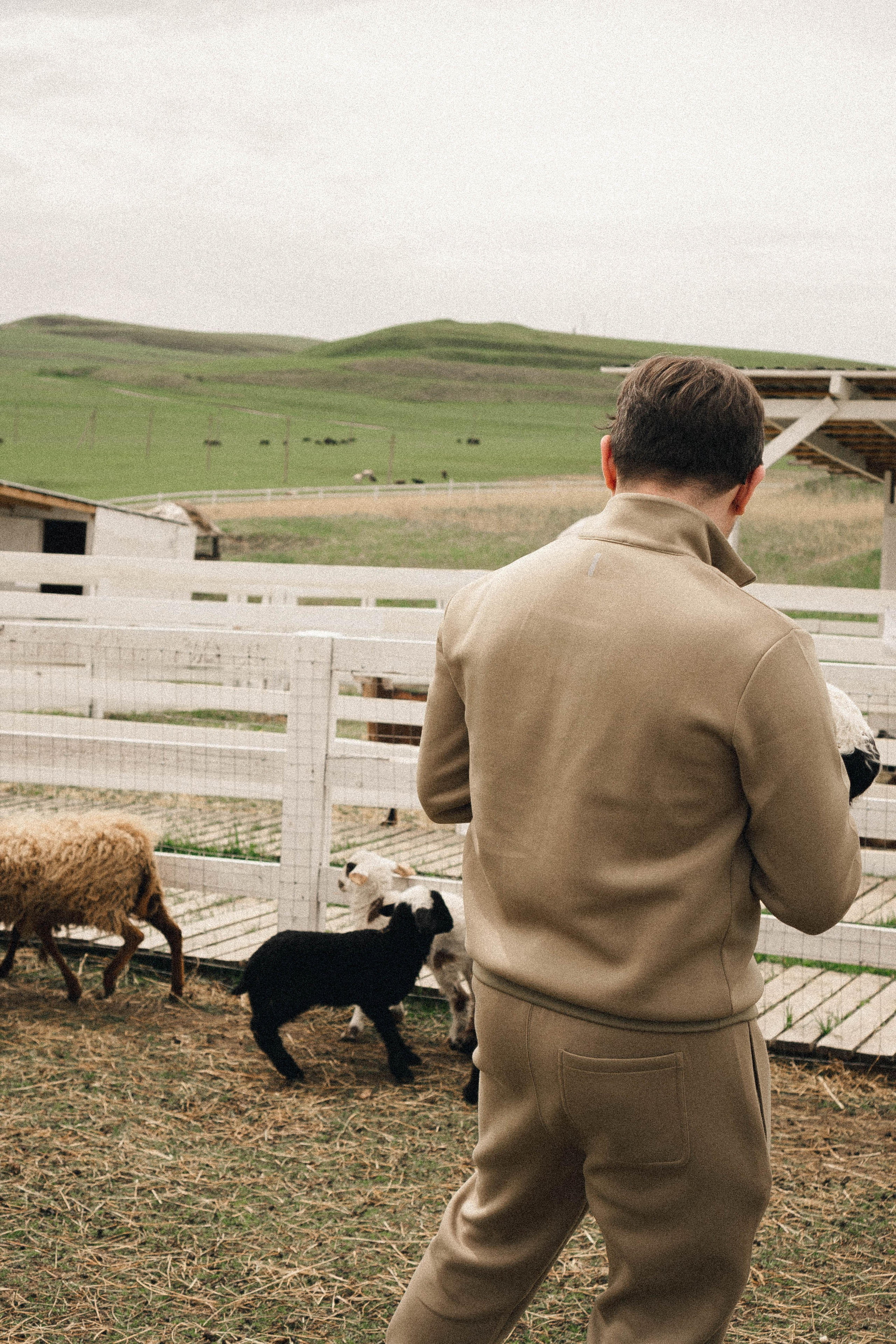 Ферма Альпак. Профессиональный фотограф, Санкт-Петербург — Виктория Богомолова