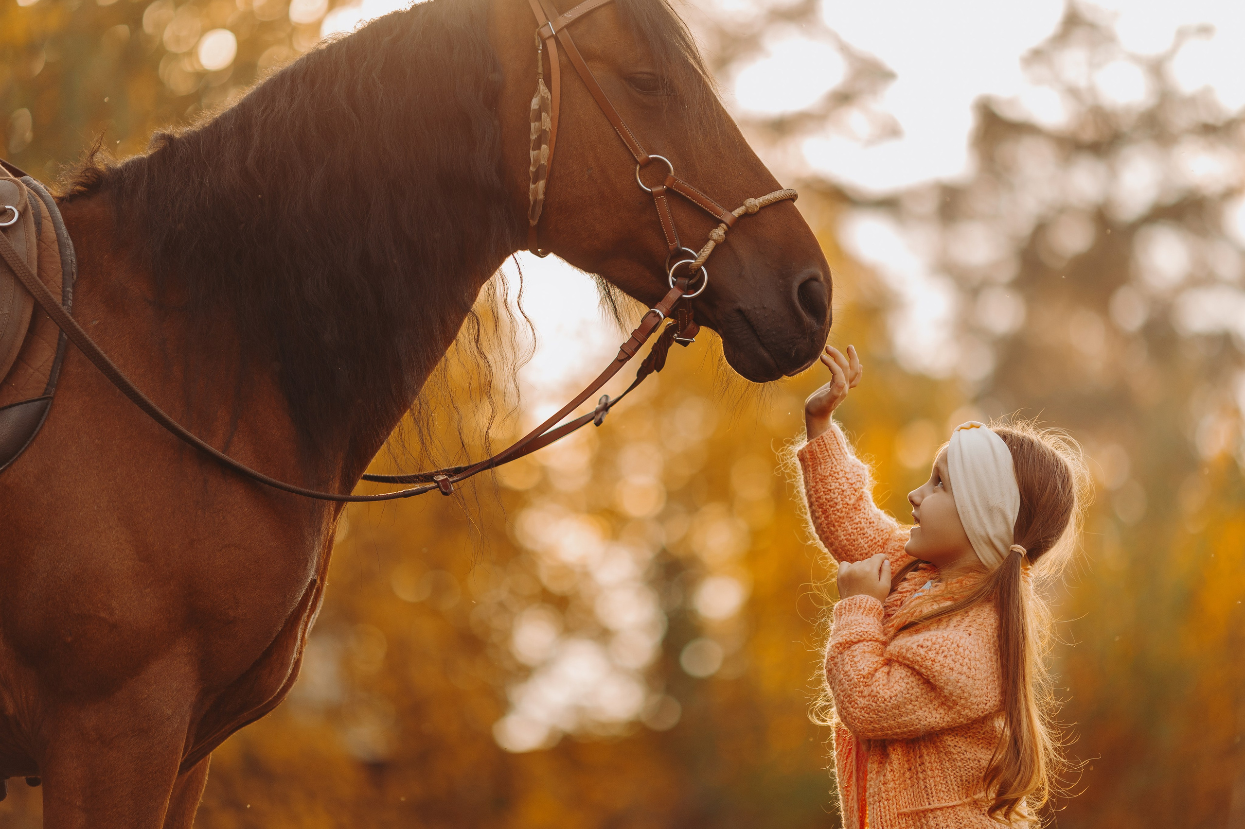 Для фотографов. Анна Молчанова конный фотограф в Тюмени | фотосессии с лошадьми Тюмень