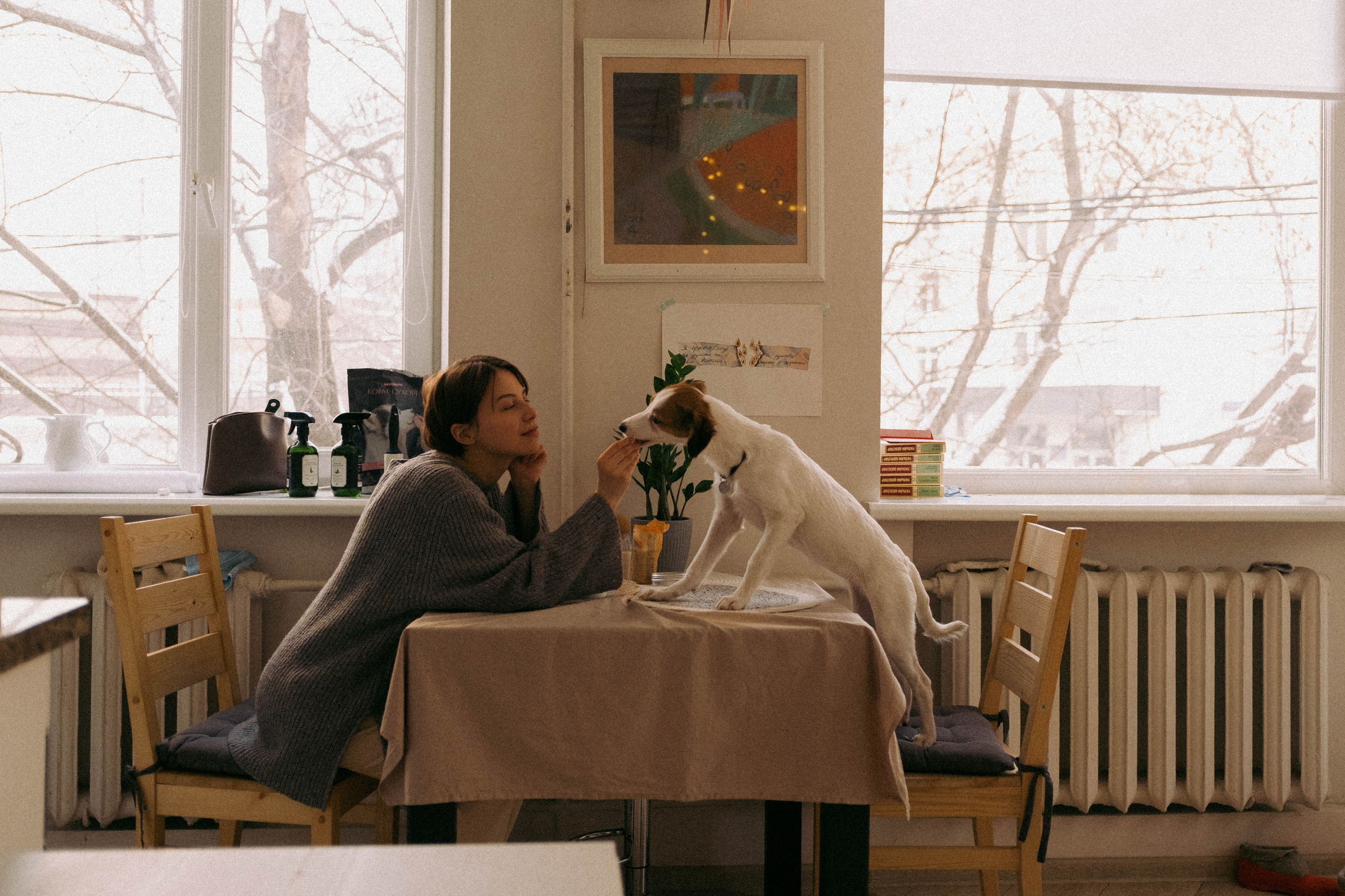 Лика и Клео. Свадебный фотограф Оля Григунова