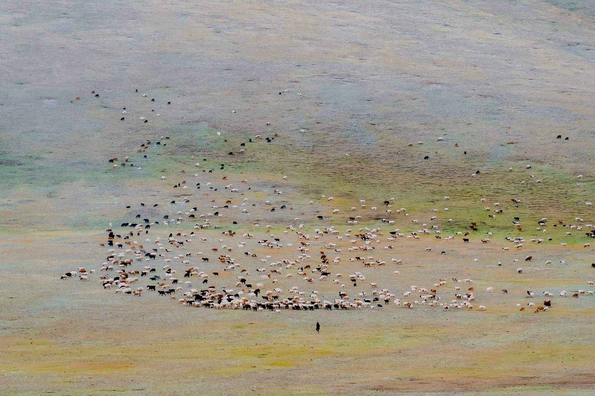 Mongolia landscape. Iraogo