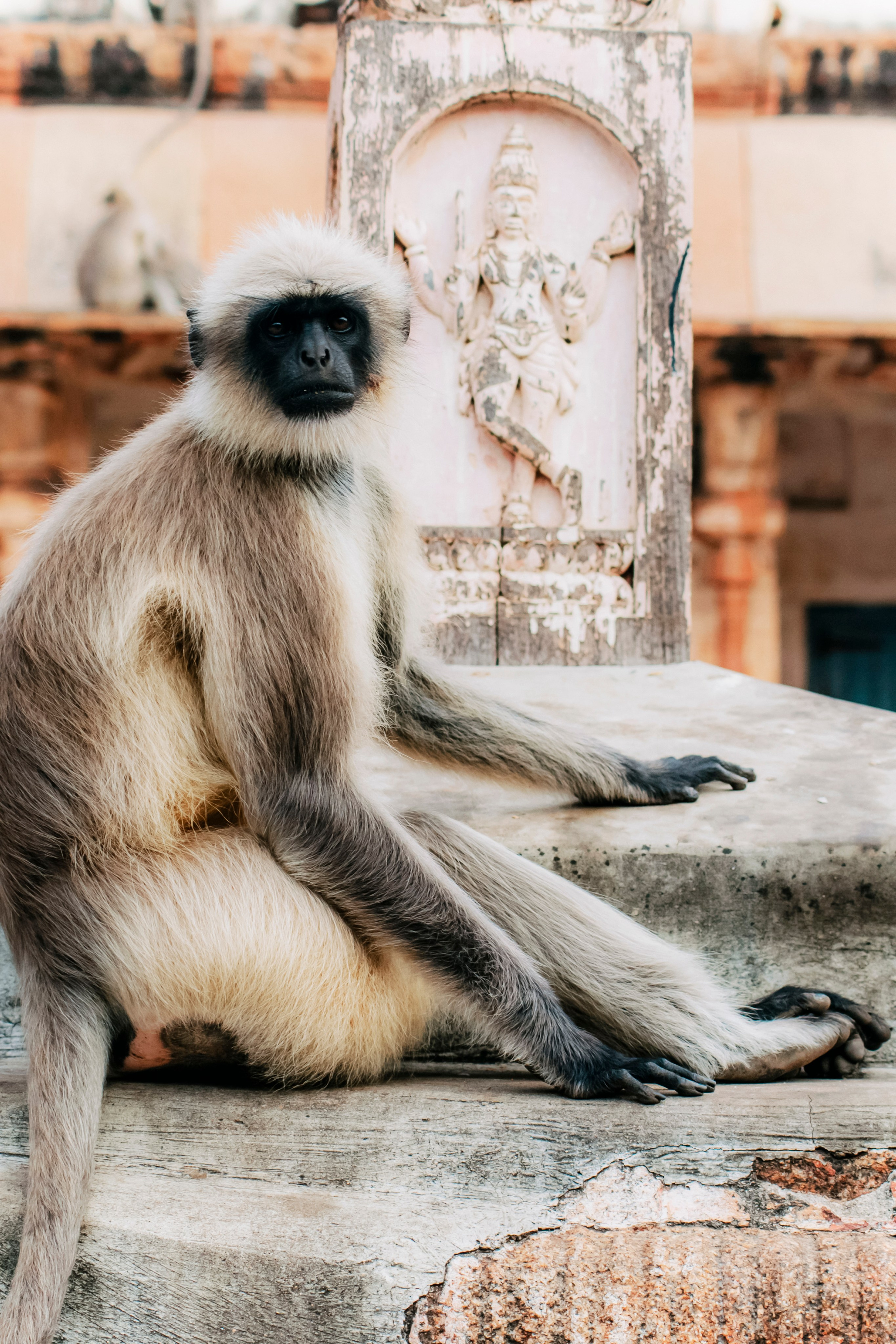 Хампи стрит фото. Iraogo