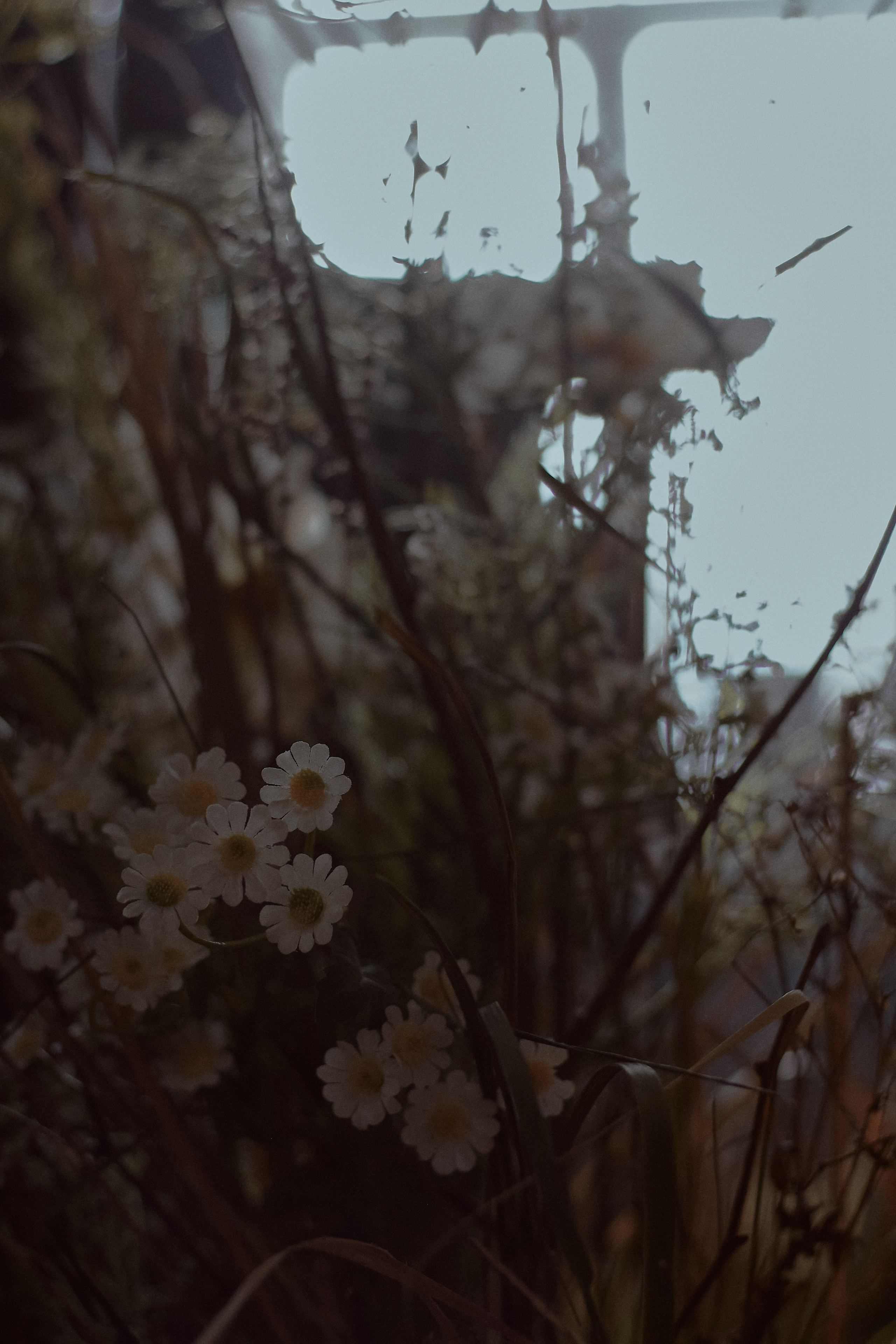 Мать и Дочь. Фотограф лавстори Москва/МО Приятелева Ангелина