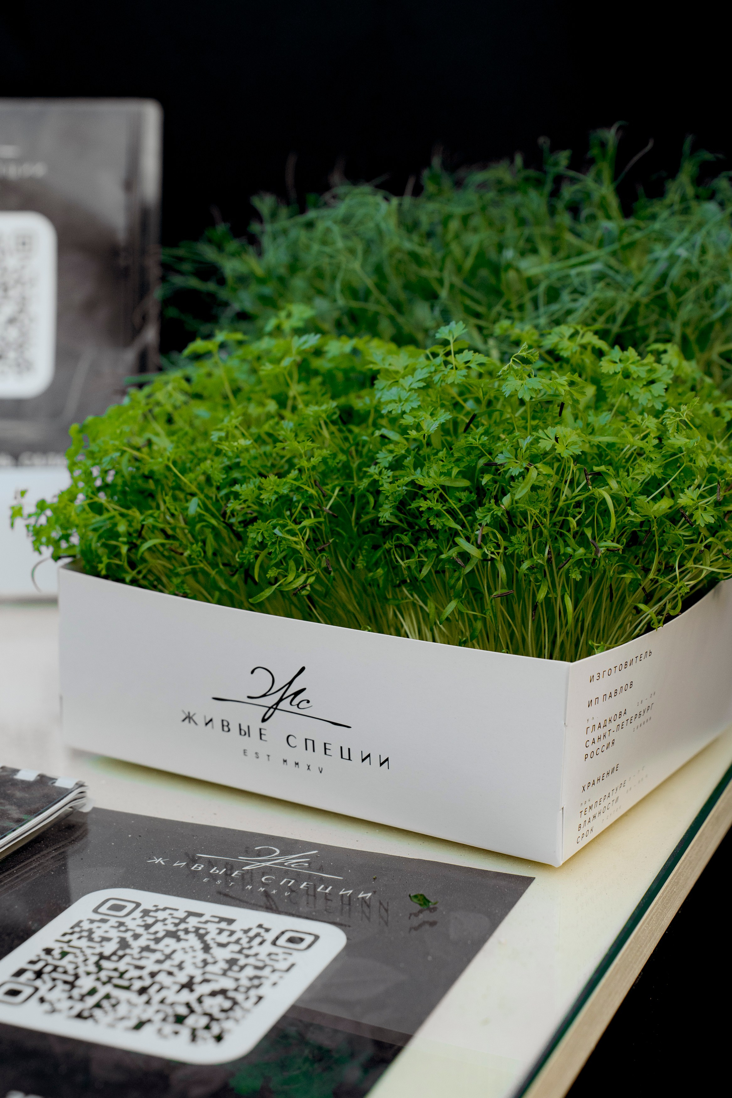 Гриль Фест 2025. Свадебный фотограф Москва