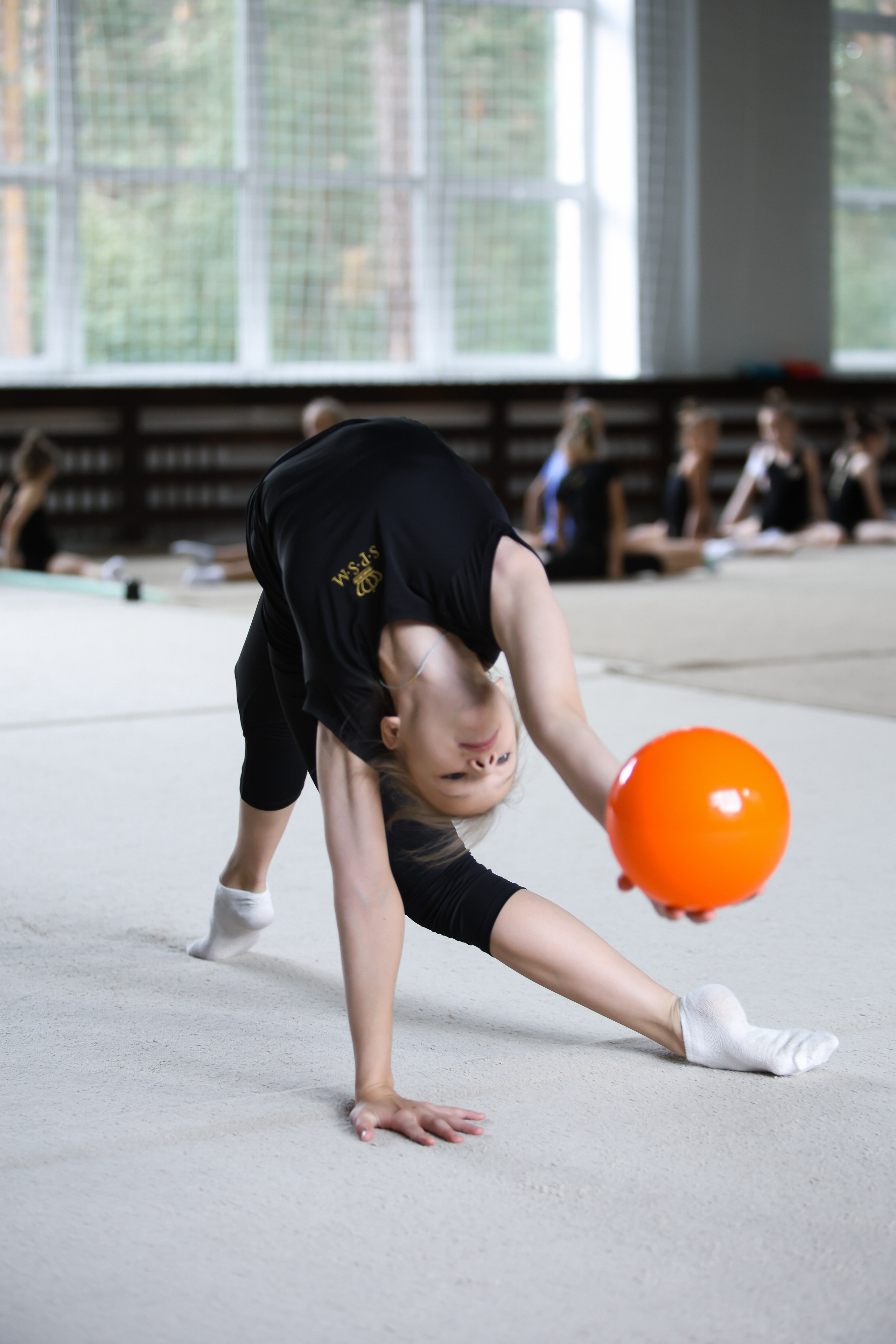 Спорт. Logacheva Ekaterina