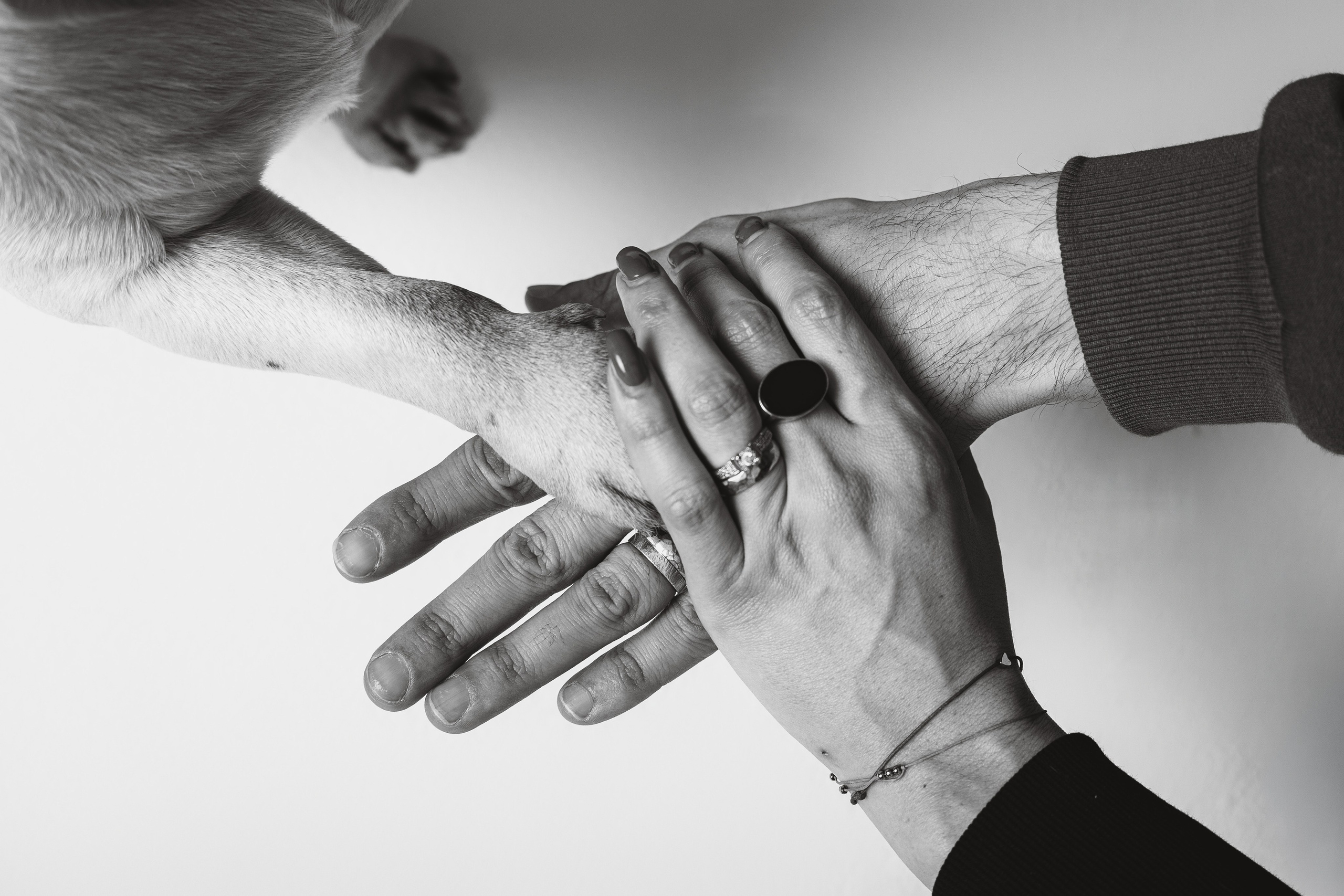 Екатерина, Виталий и Ричи