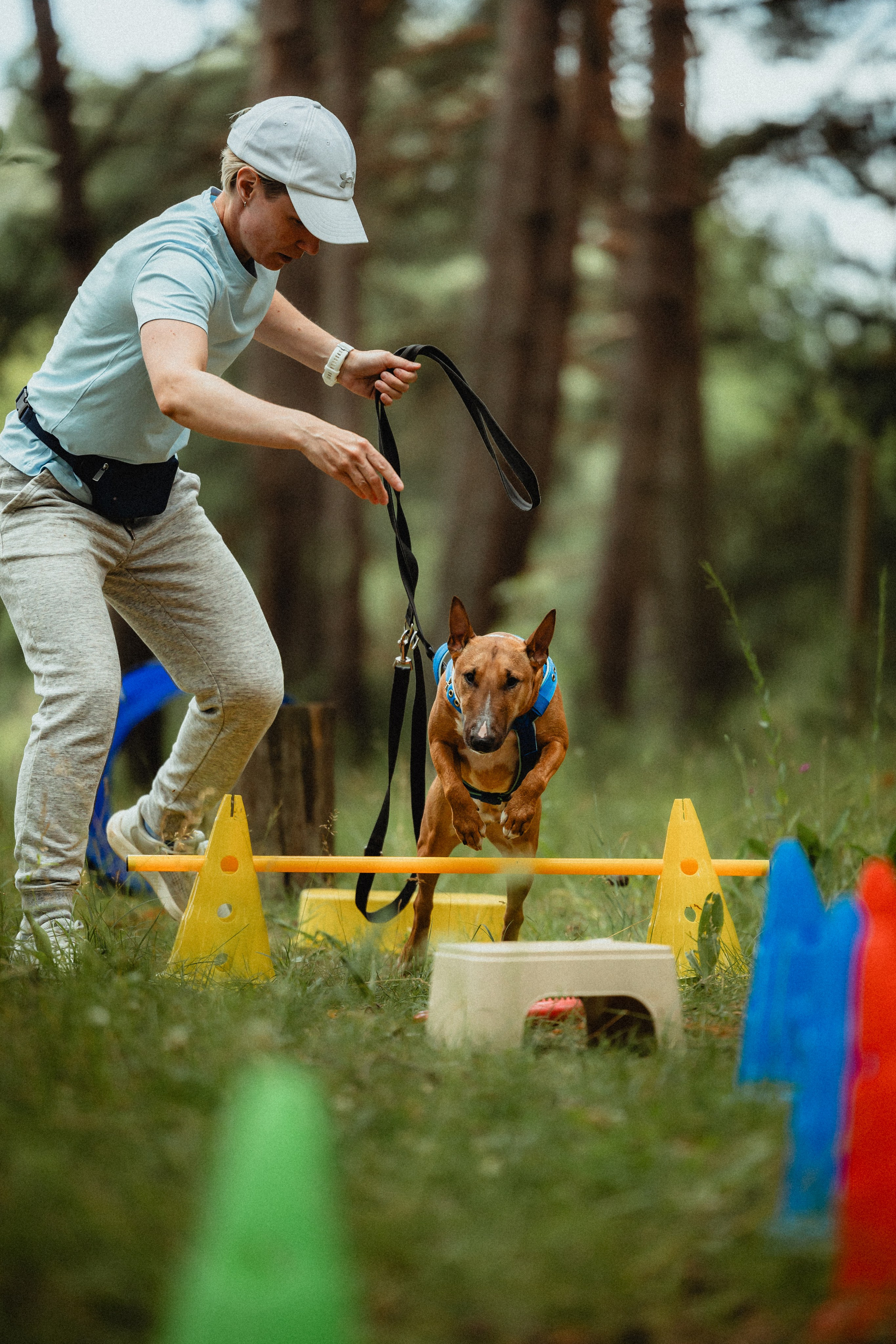 Выездной дог-тренинг от школы «Шерсть имею»