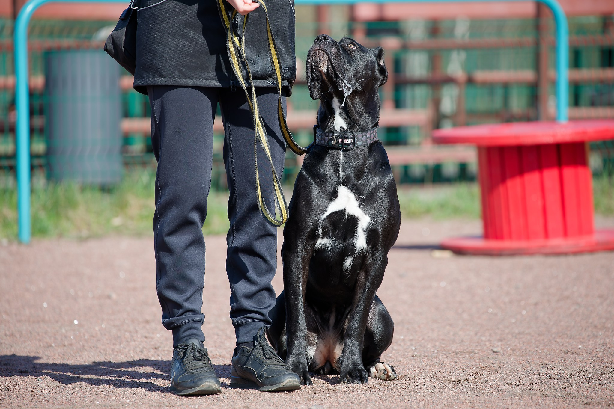 Турнир «Место». Irenephoto.ru