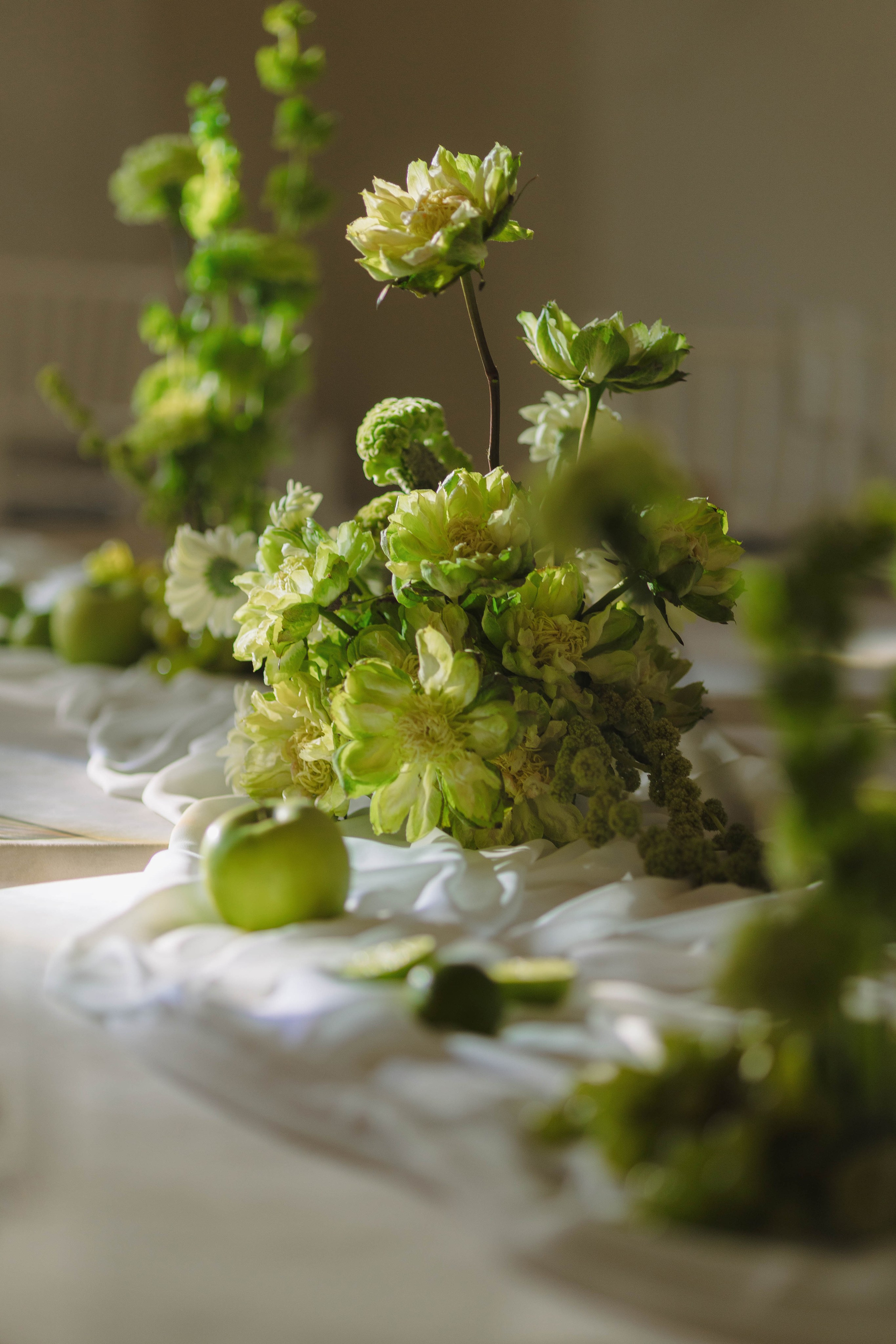 Зеленый сад