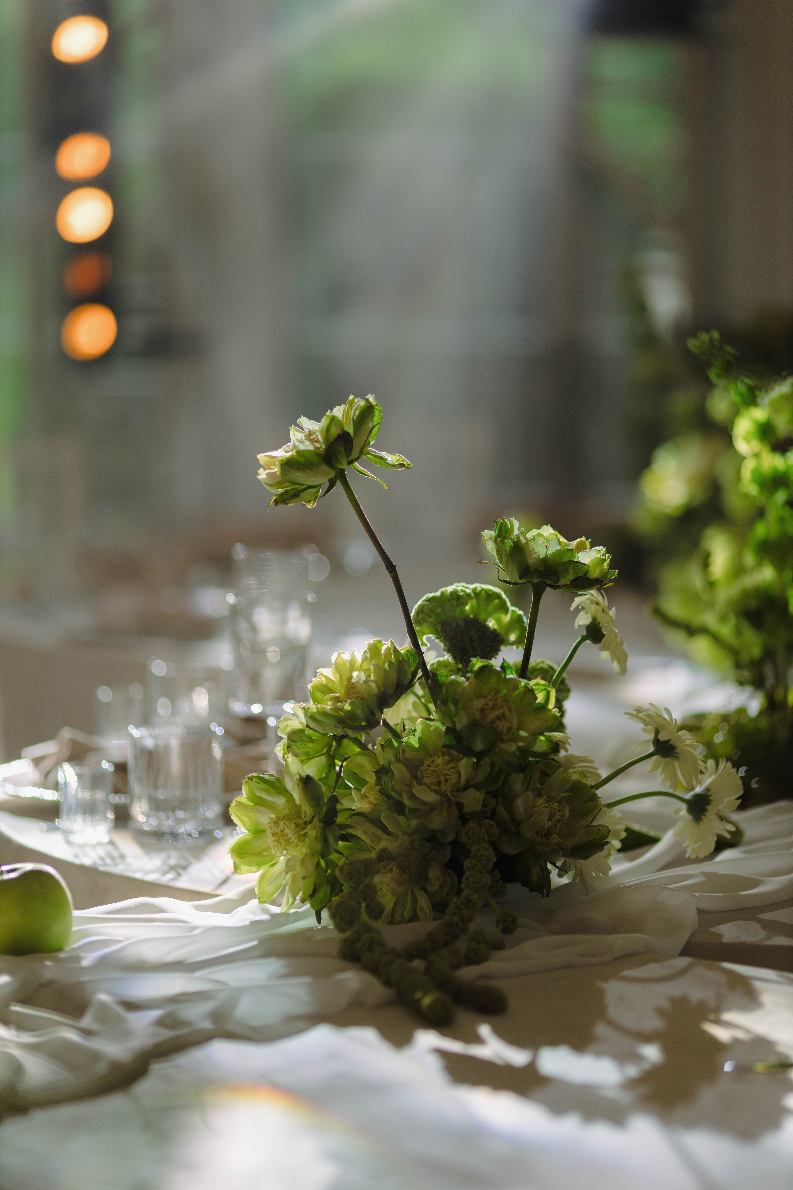 Зеленый сад