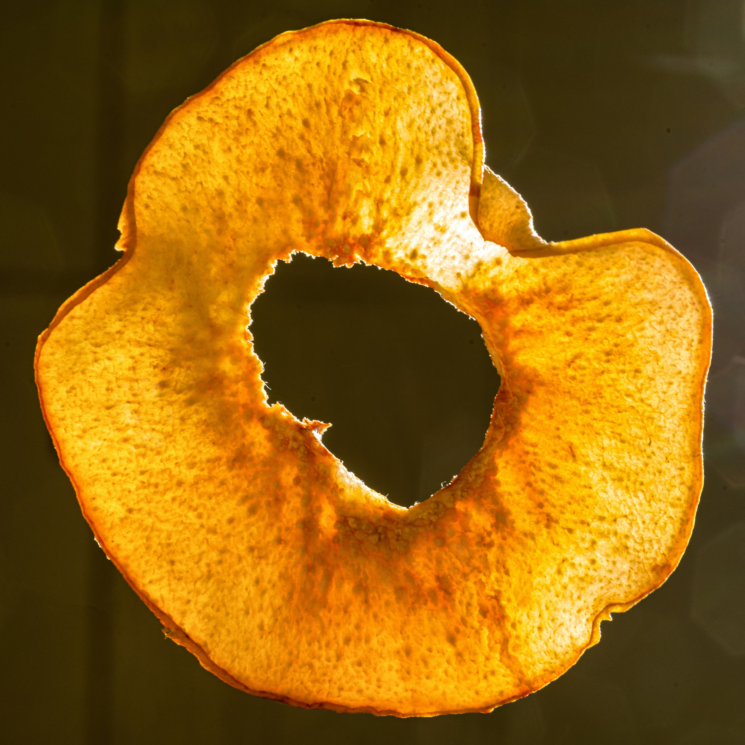 Сушеный ломтик айвы