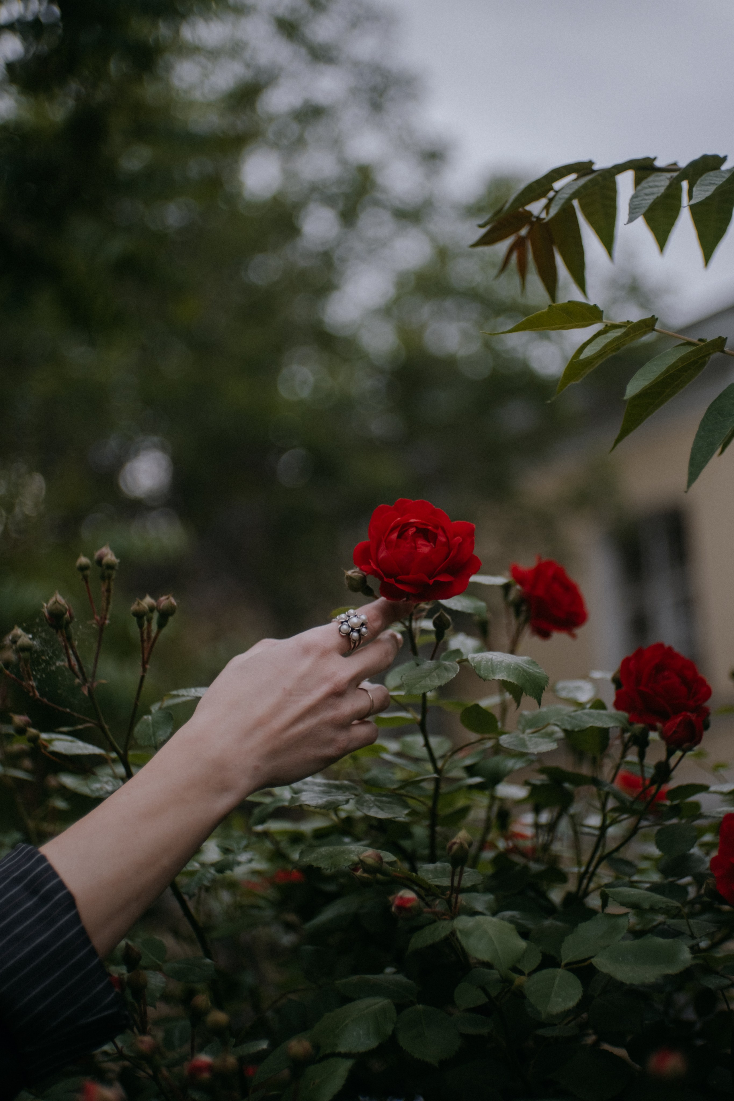 Лиза. Фотограф в Астрахани Миронова Анастасия