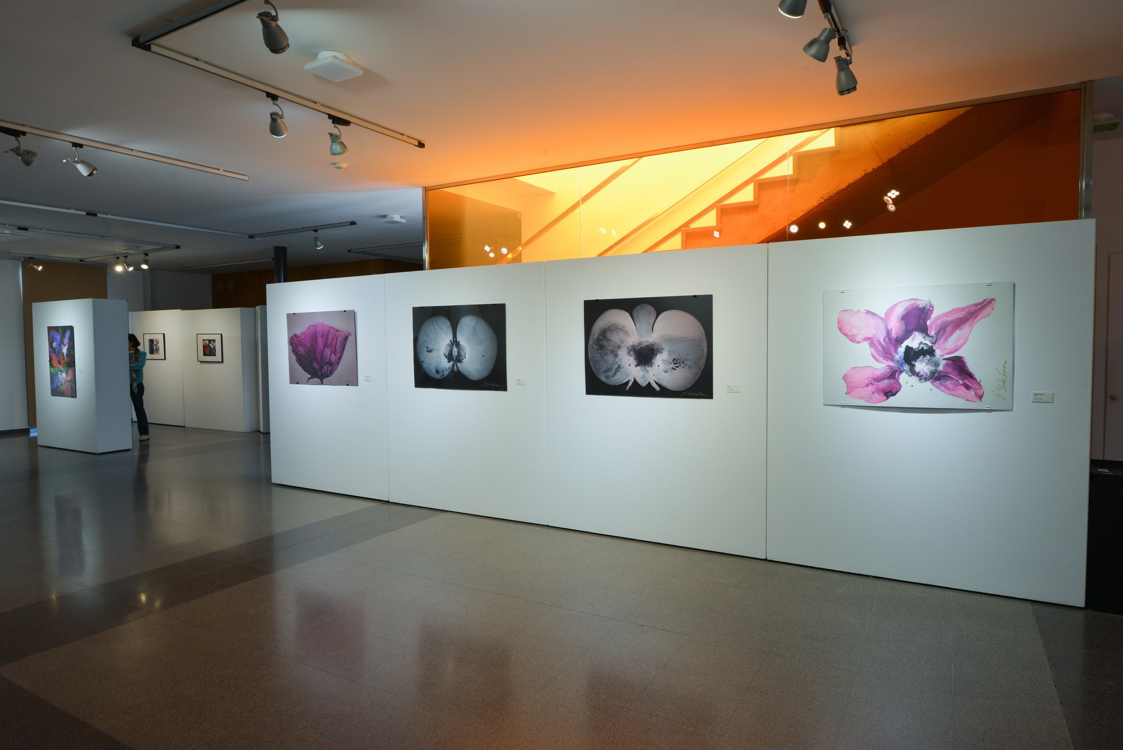 Abstract Art Exhibition. Photographer Aleksandr Rybintsev