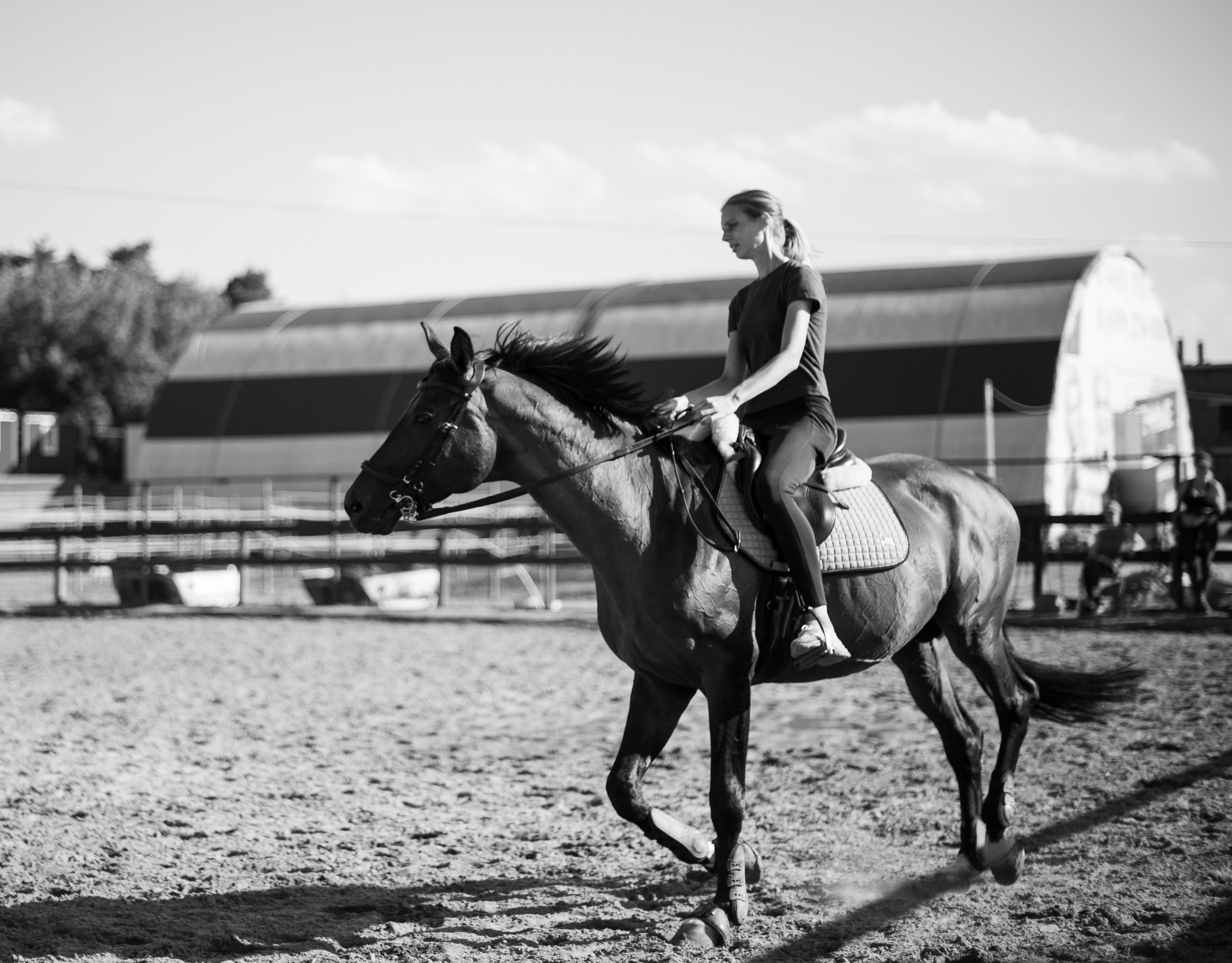 Анималистика Конный клуб ЧБ. Victoria Radjevna Репортажный Фотограф — Видеограф Москва • Санкт-Петербург