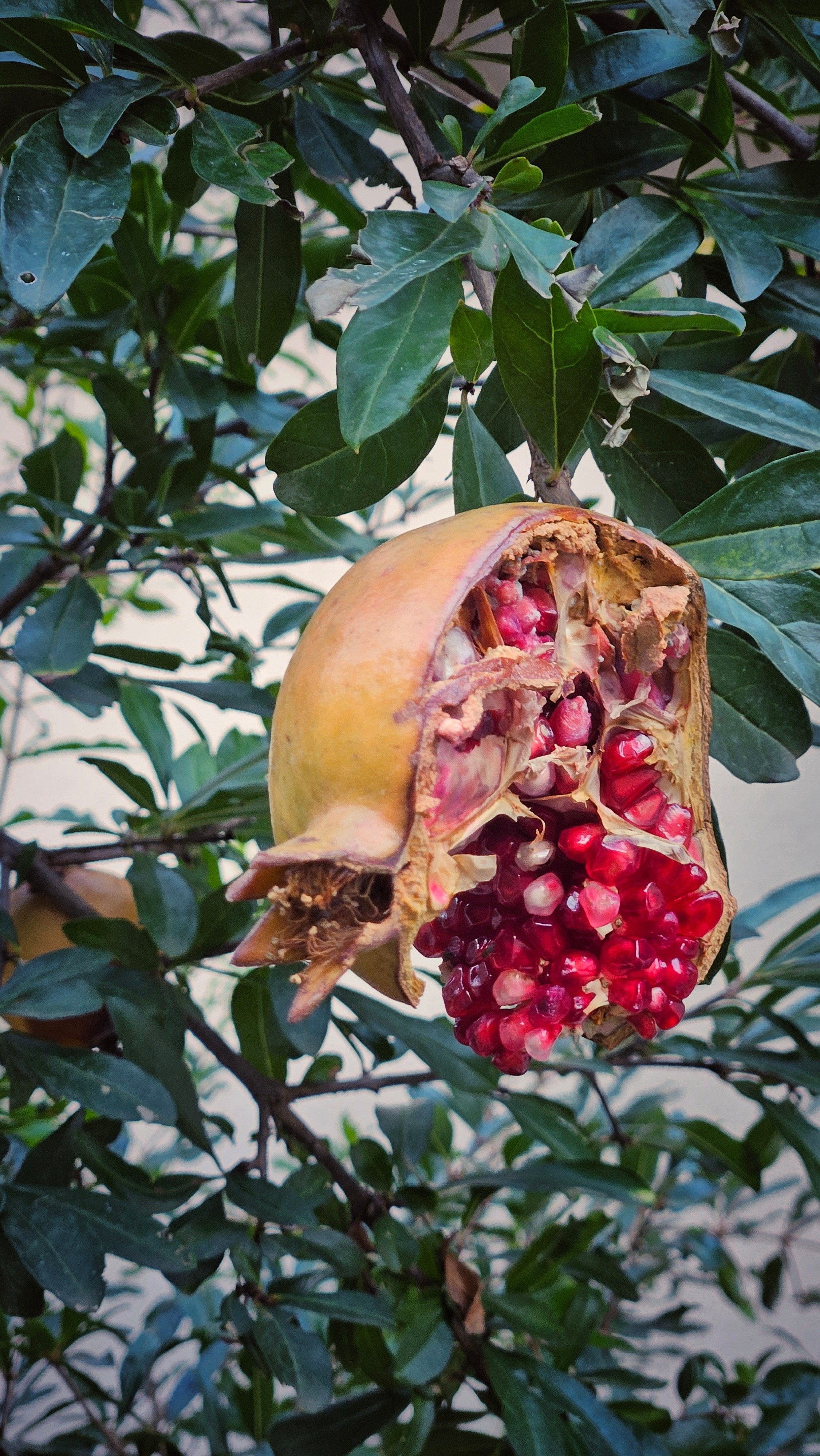 Documentary. Portrait photographer in Tivat Montenegro Katerina Kirsanova