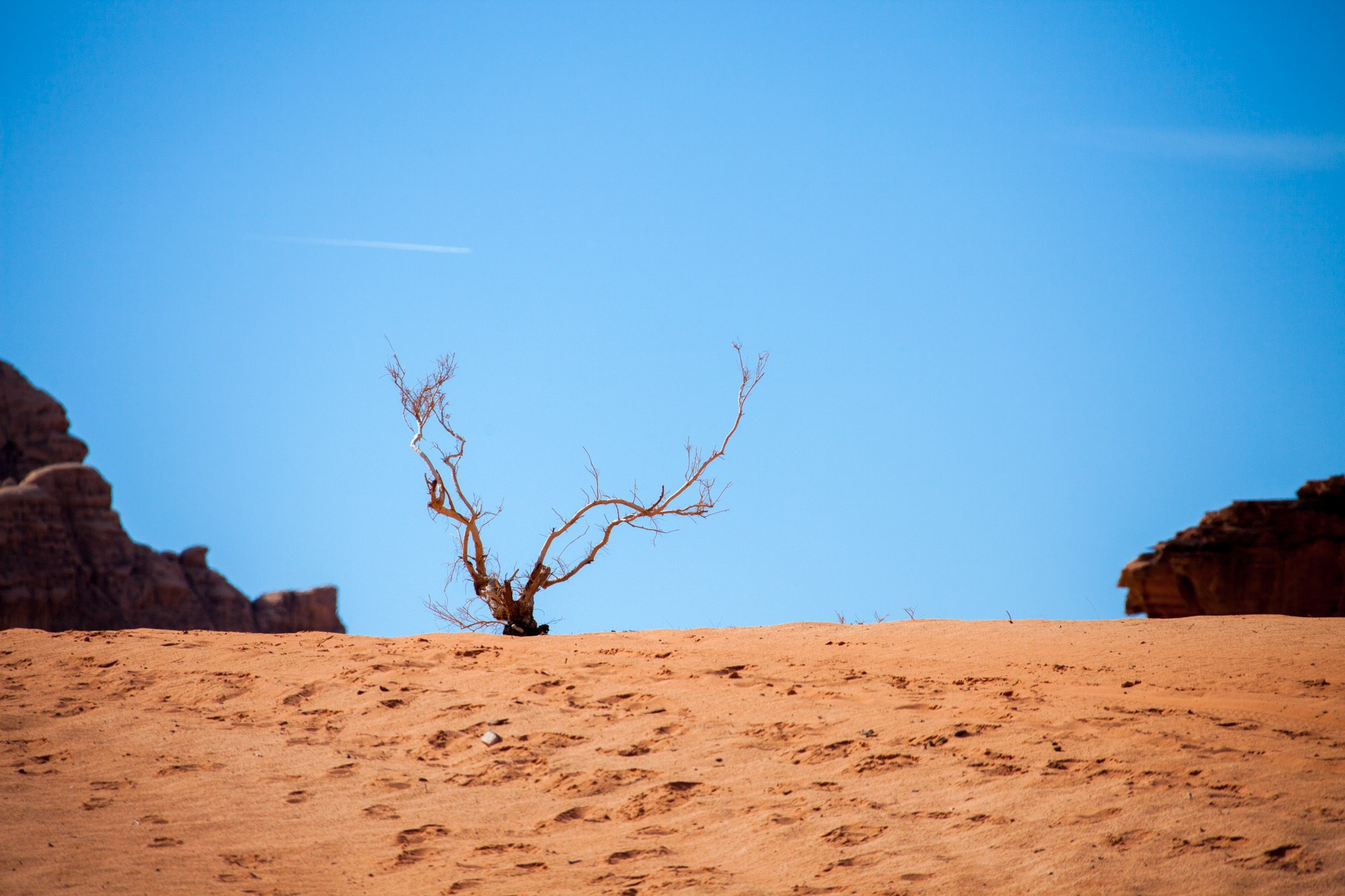 Иордания. Фотограф Алексей Скоробогатько