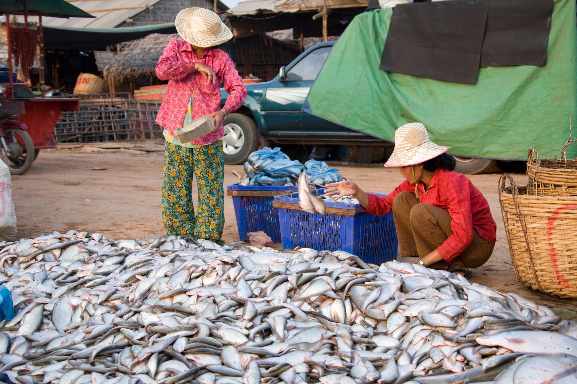 Фотосъёмки в Камбодже. Фотограф Алексей Скоробогатько