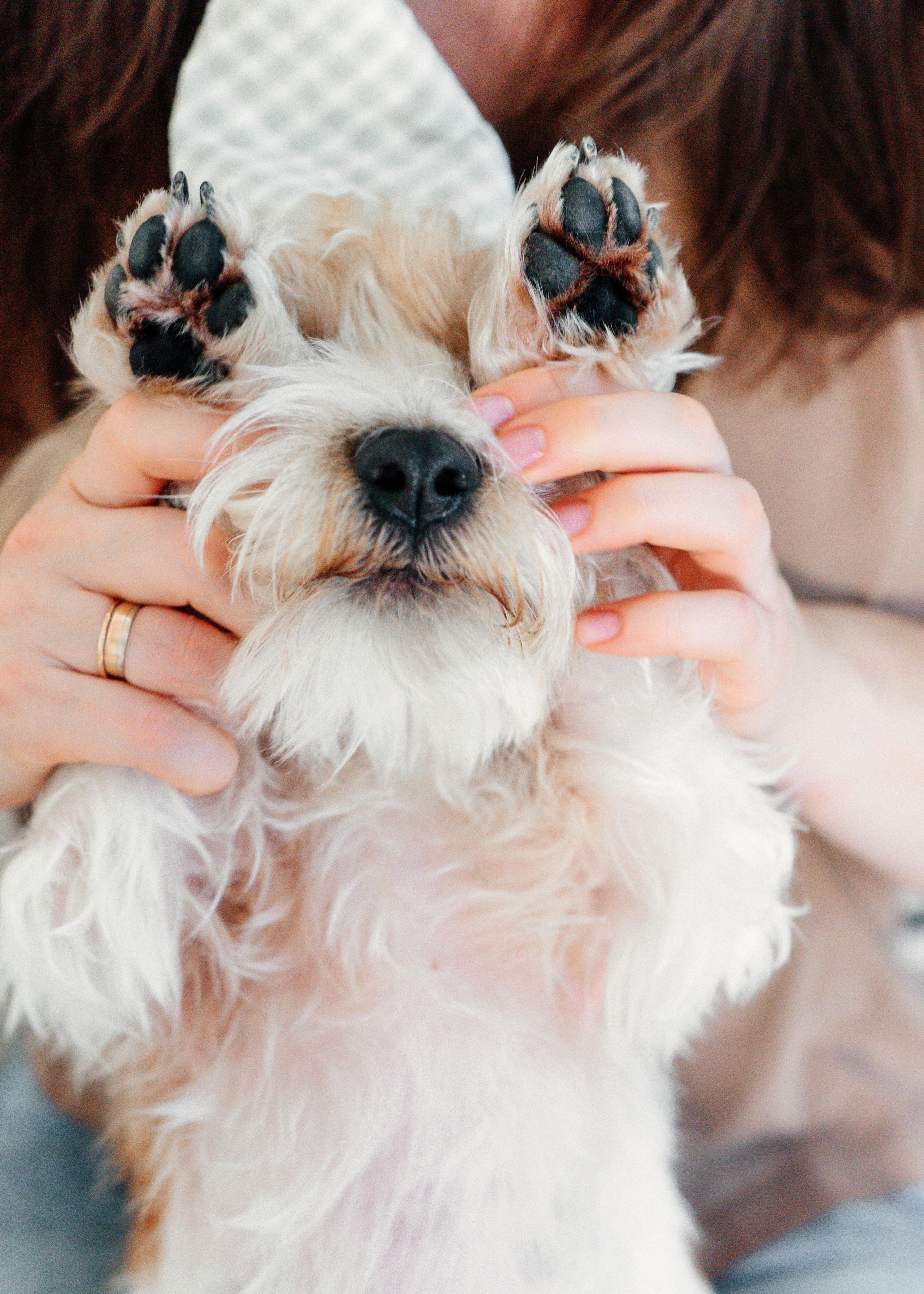 Красота хвостатых глазами хозяйки. Ваш семейный фотограф в Минске — Вика Трегубова
