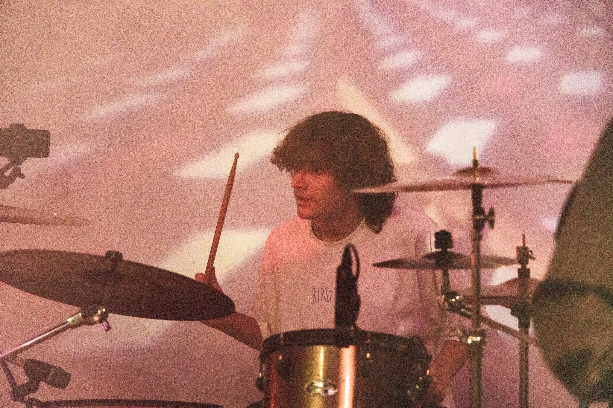 Змееед, Apodemus, 20.12.25, TAGO)))MAGO)))