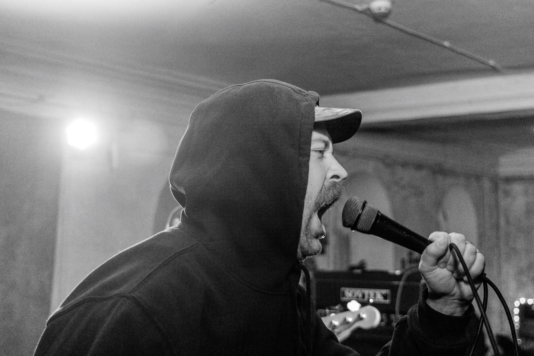 Змееед, Apodemus, 20.12.25, TAGO)))MAGO)))