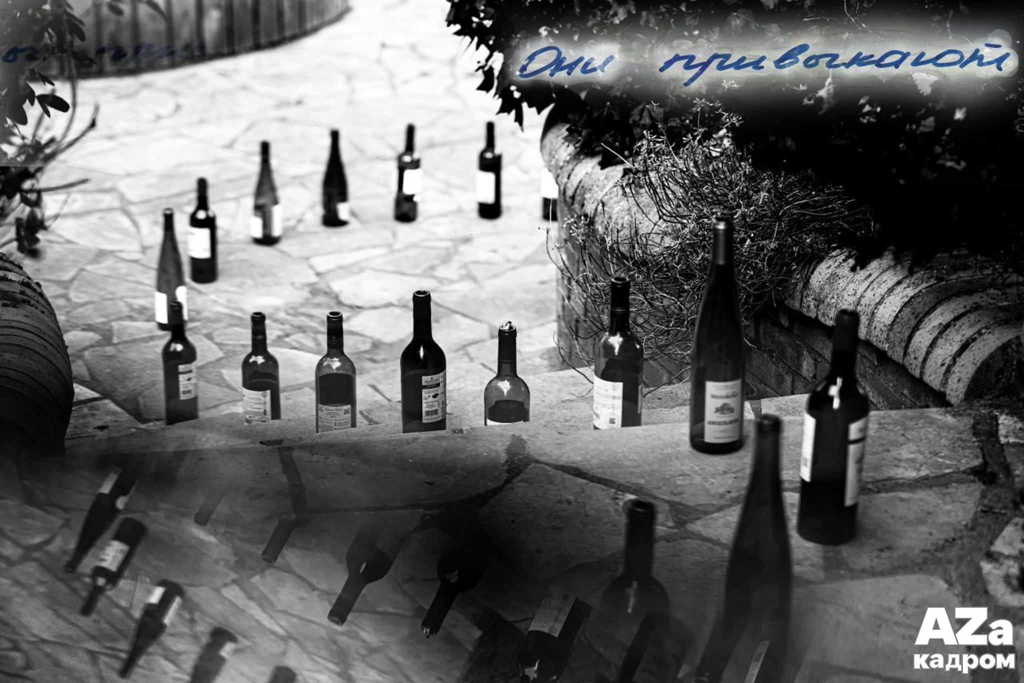 Лучшие кадры участников фотоклуба AZакадром по заданию «Стоп-слово»