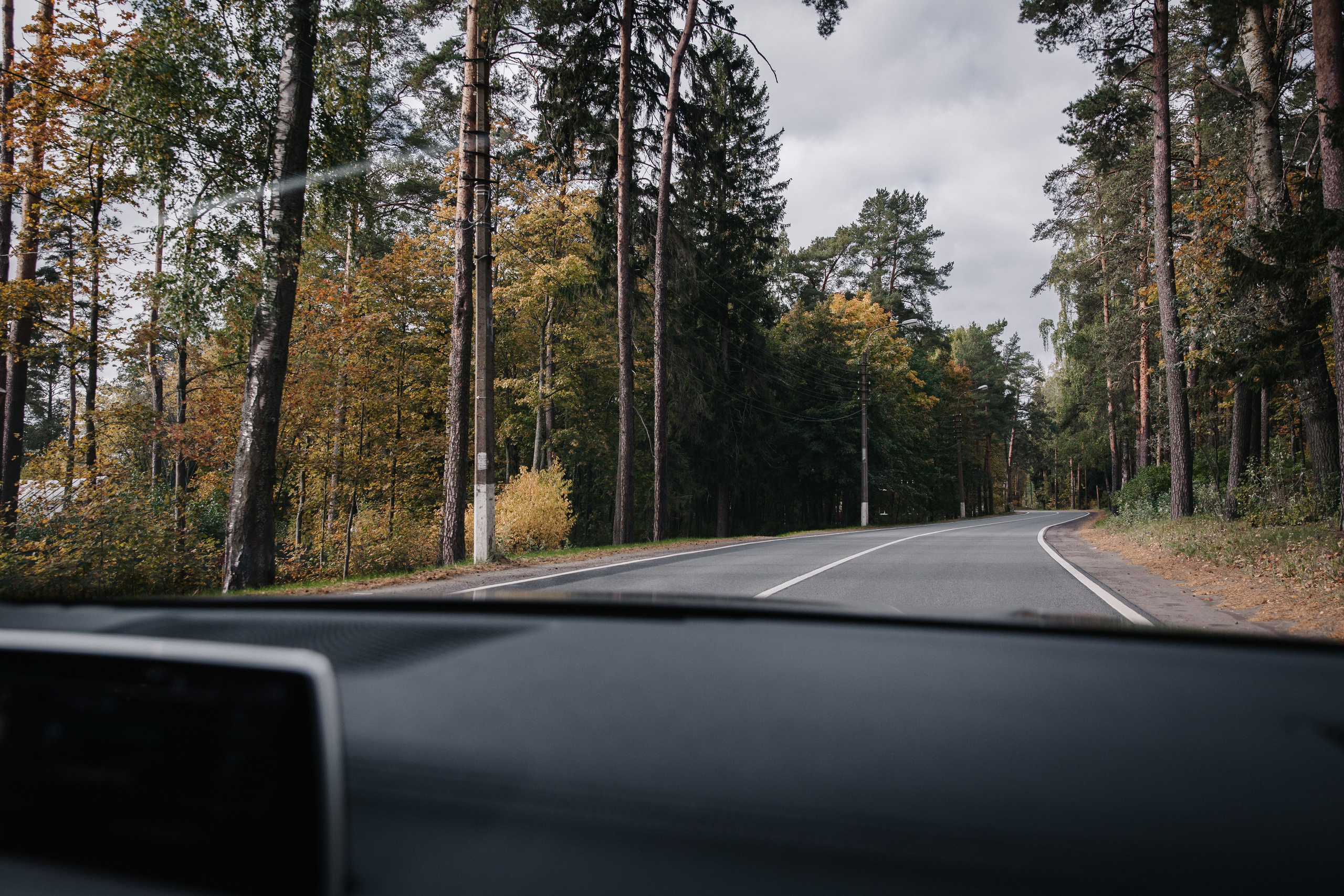 ЗАГС Курортного района (г. Сестрорецк) | сентябрь. Свадебный фотограф в Санкт-Петербурге Полина Корзухина