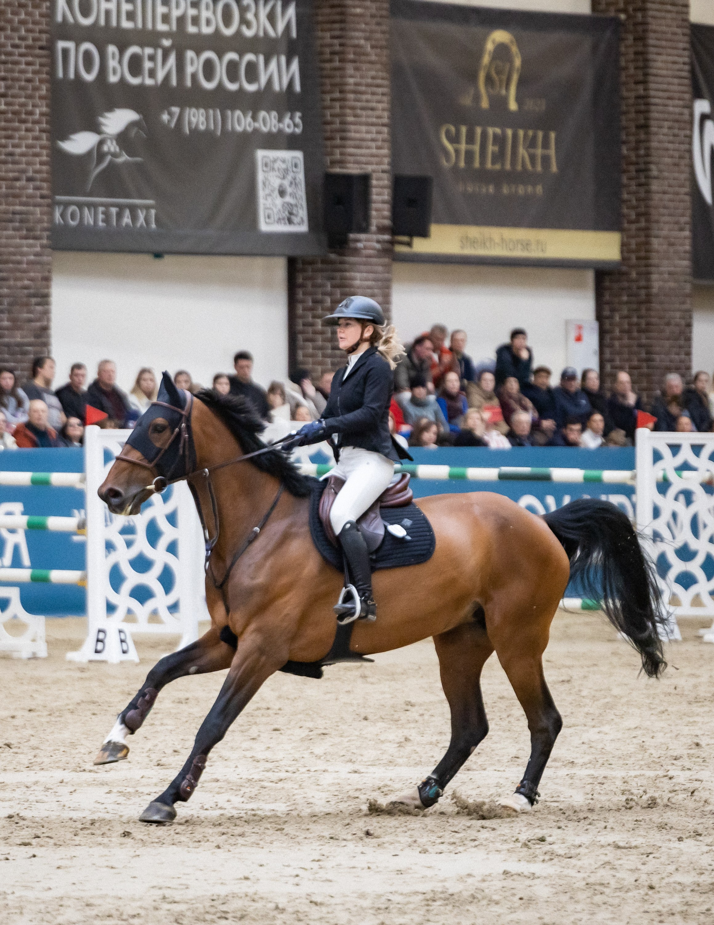 Кубок Кремля по Конкуру 12.04.25. Фотограф Владимир Охрименко
