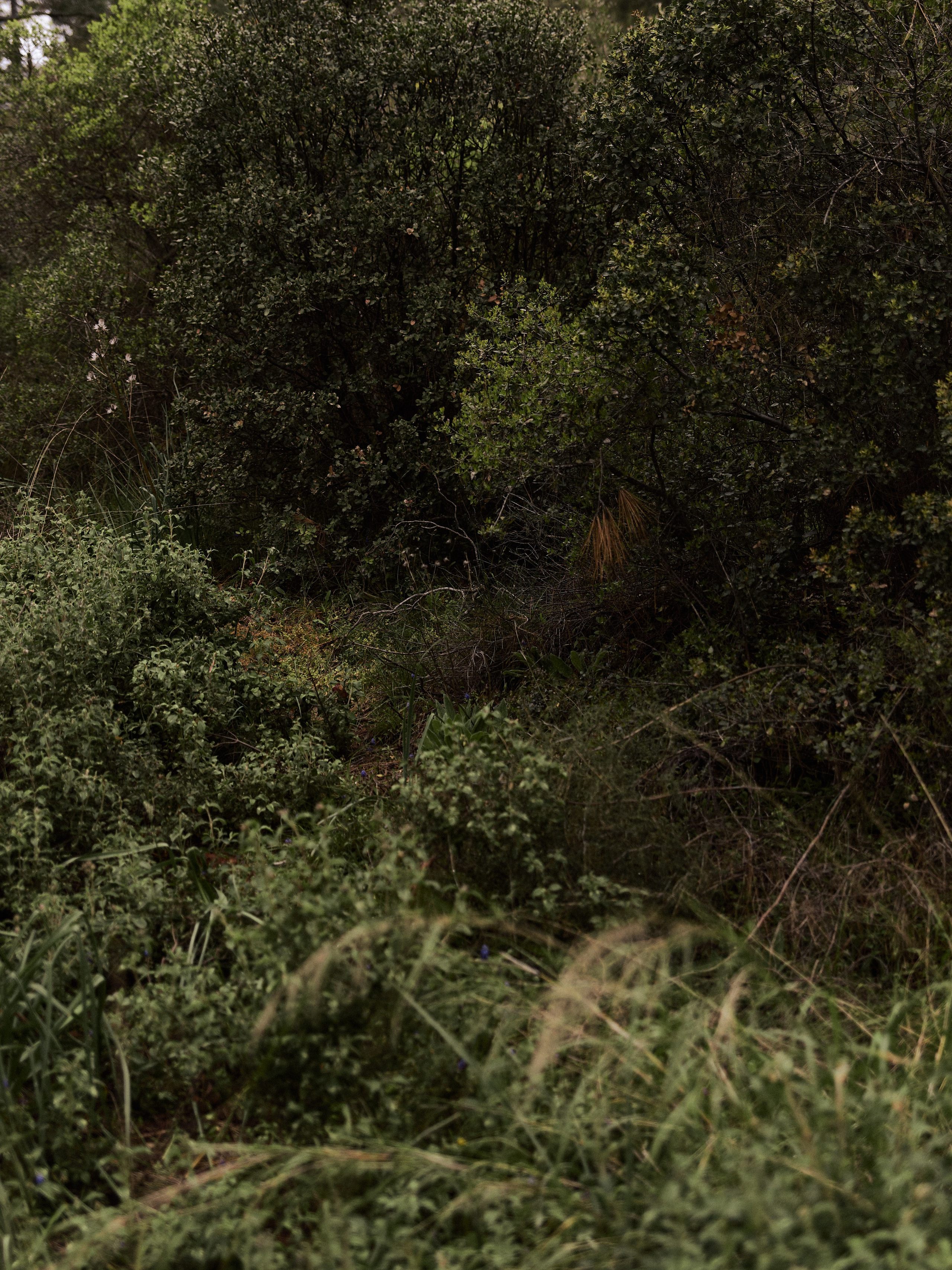 Природа. Jorgis Talè — photographer, kind person, teacher of arts and other mag